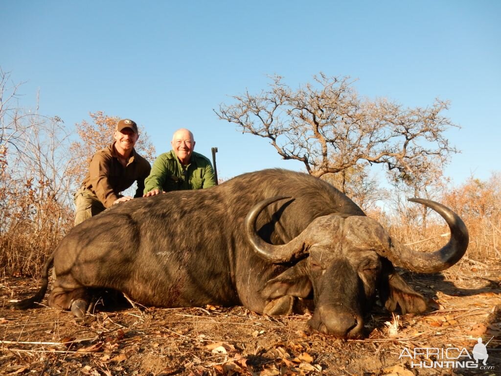 Tanzania Hunting Buffalo