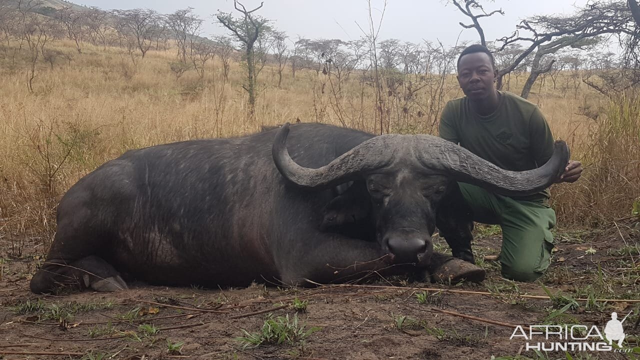 Tanzania Hunting Cape Buffalo