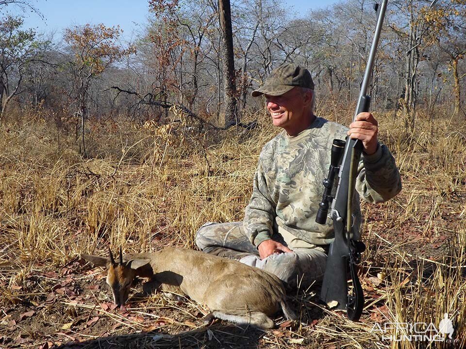 Tanzania Hunting Duiker