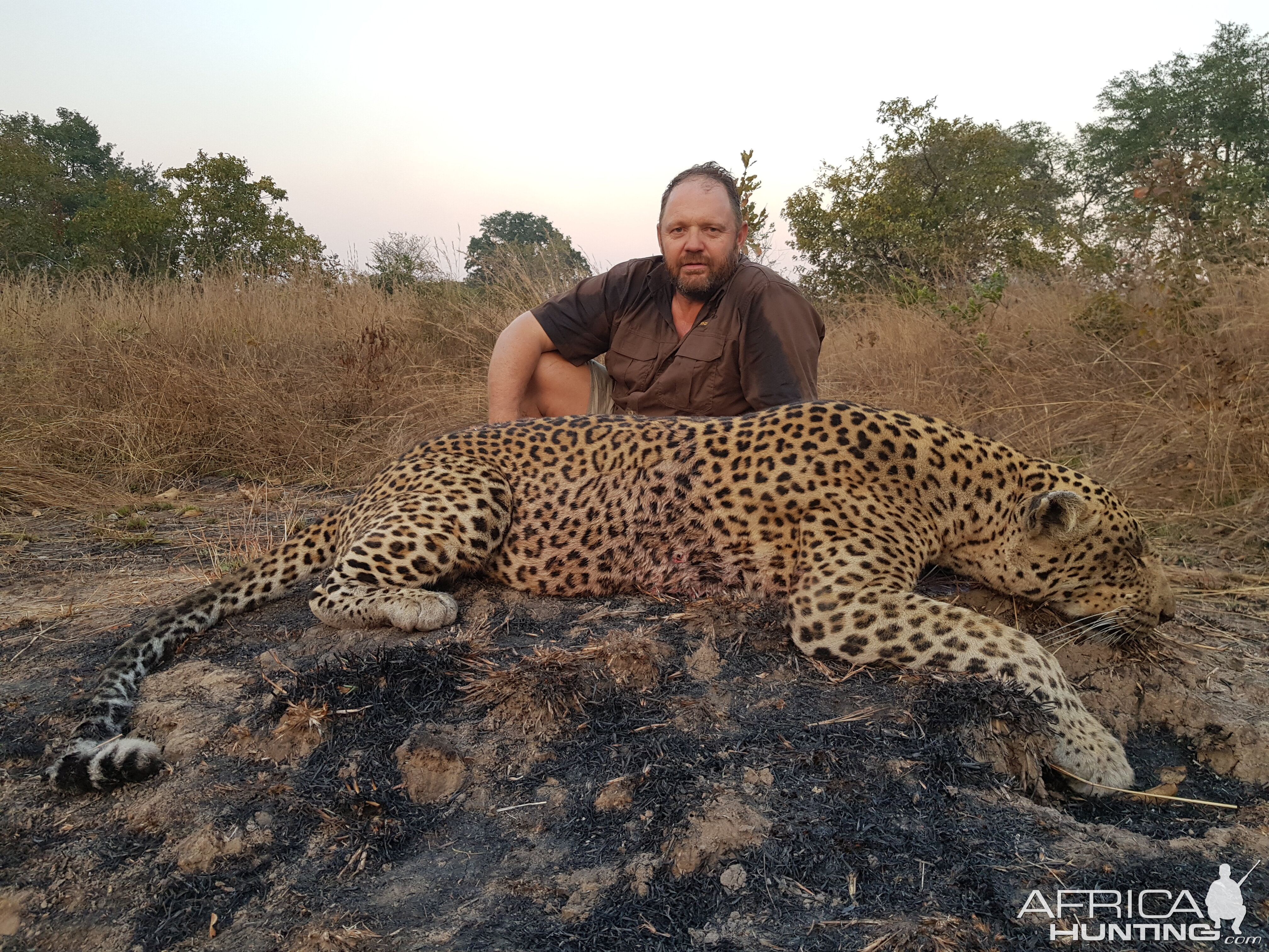 Tanzania Hunting Leopard