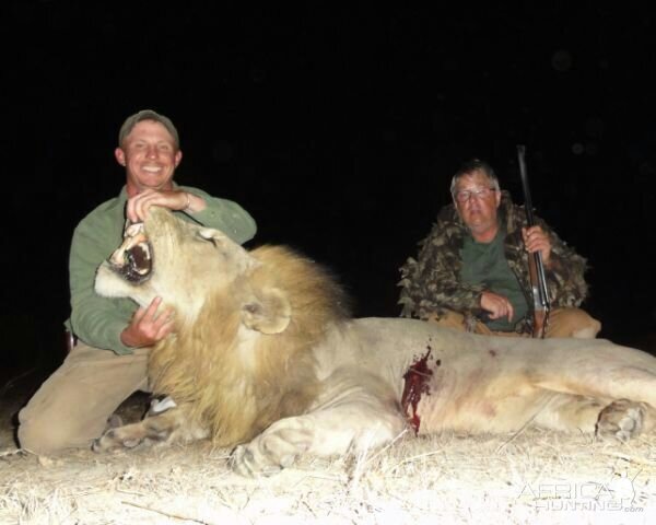 Tanzania Hunting Lion