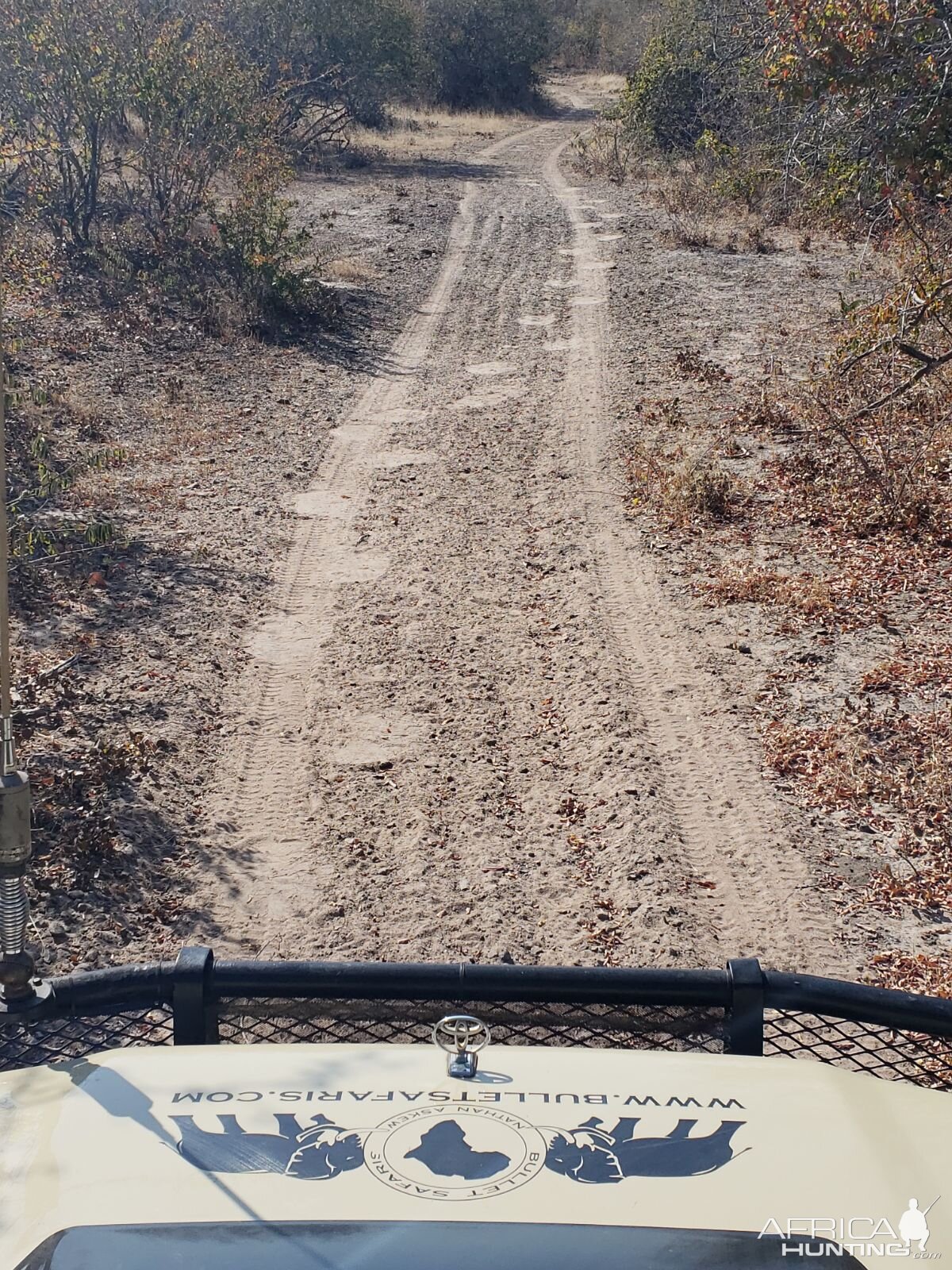 Tanzania Hunting