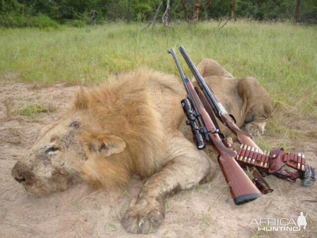 Tanzania Lion Hunt