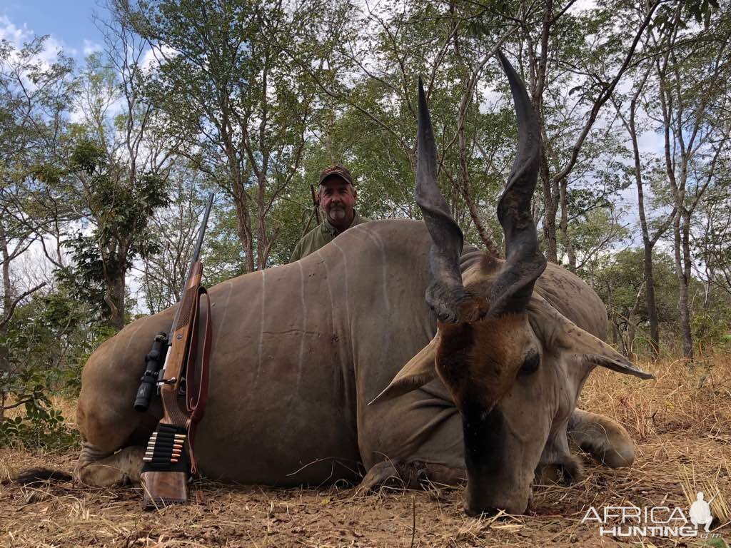 Tanzania - Selous - A glimpse of some of the exceptional trophies so far for the season