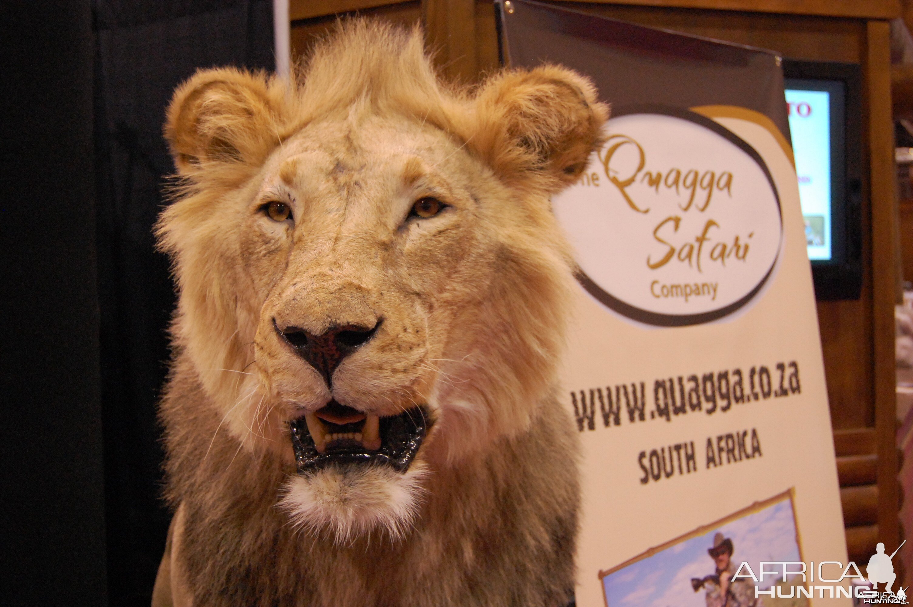 Taxidermy at Safari Club International Convention