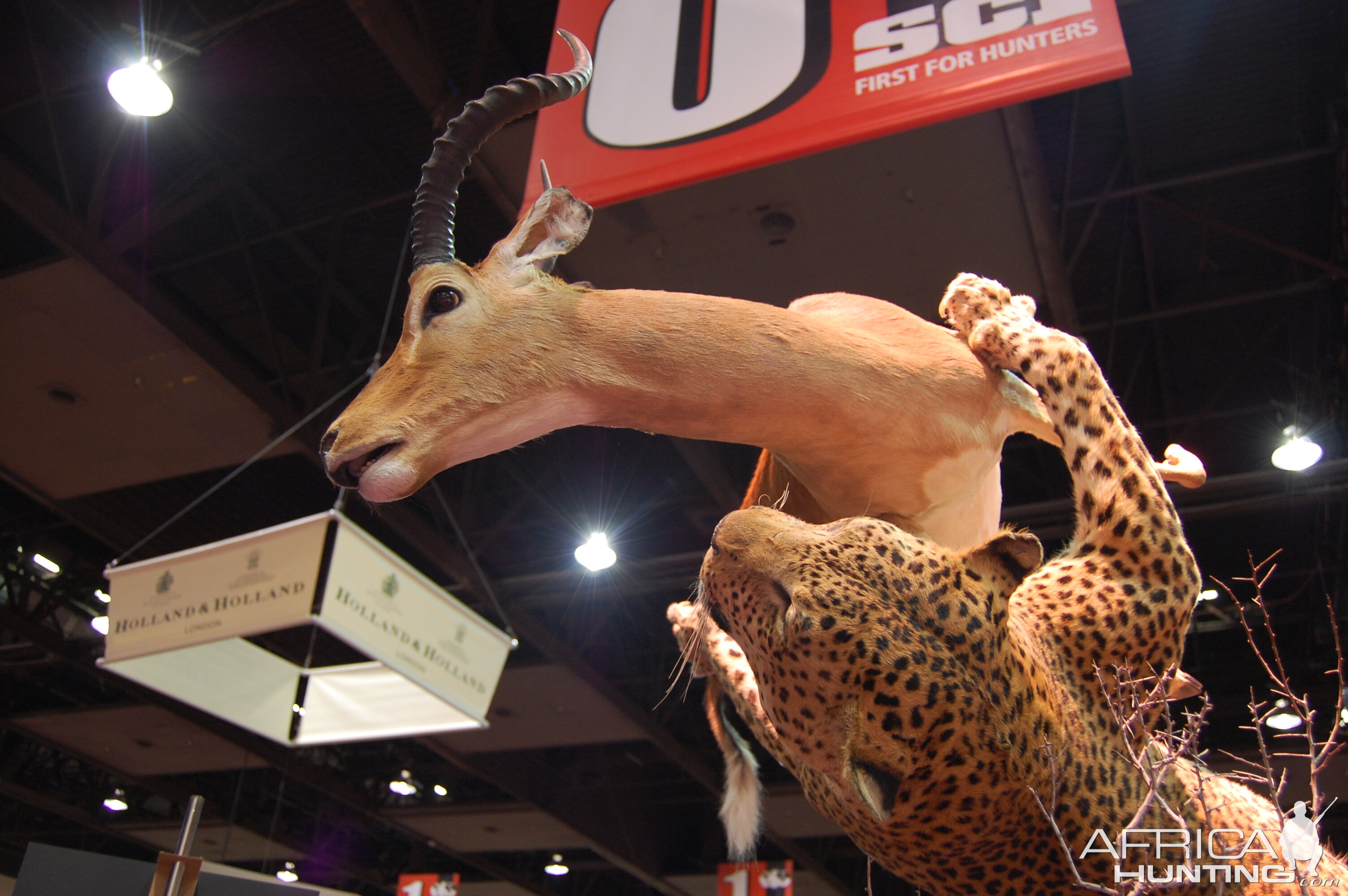 Taxidermy at Safari Club International Convention