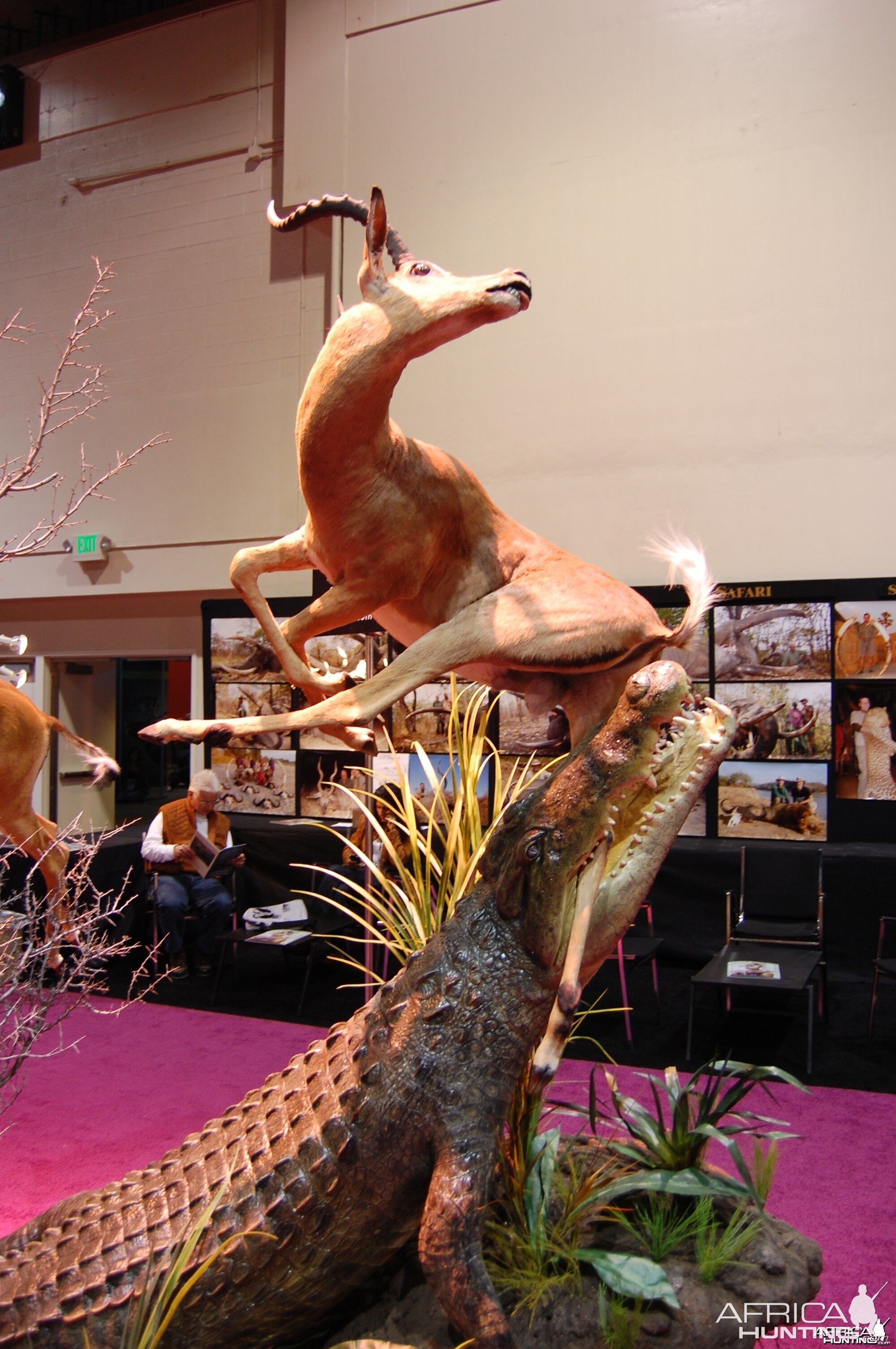 Taxidermy at Safari Club International Convention