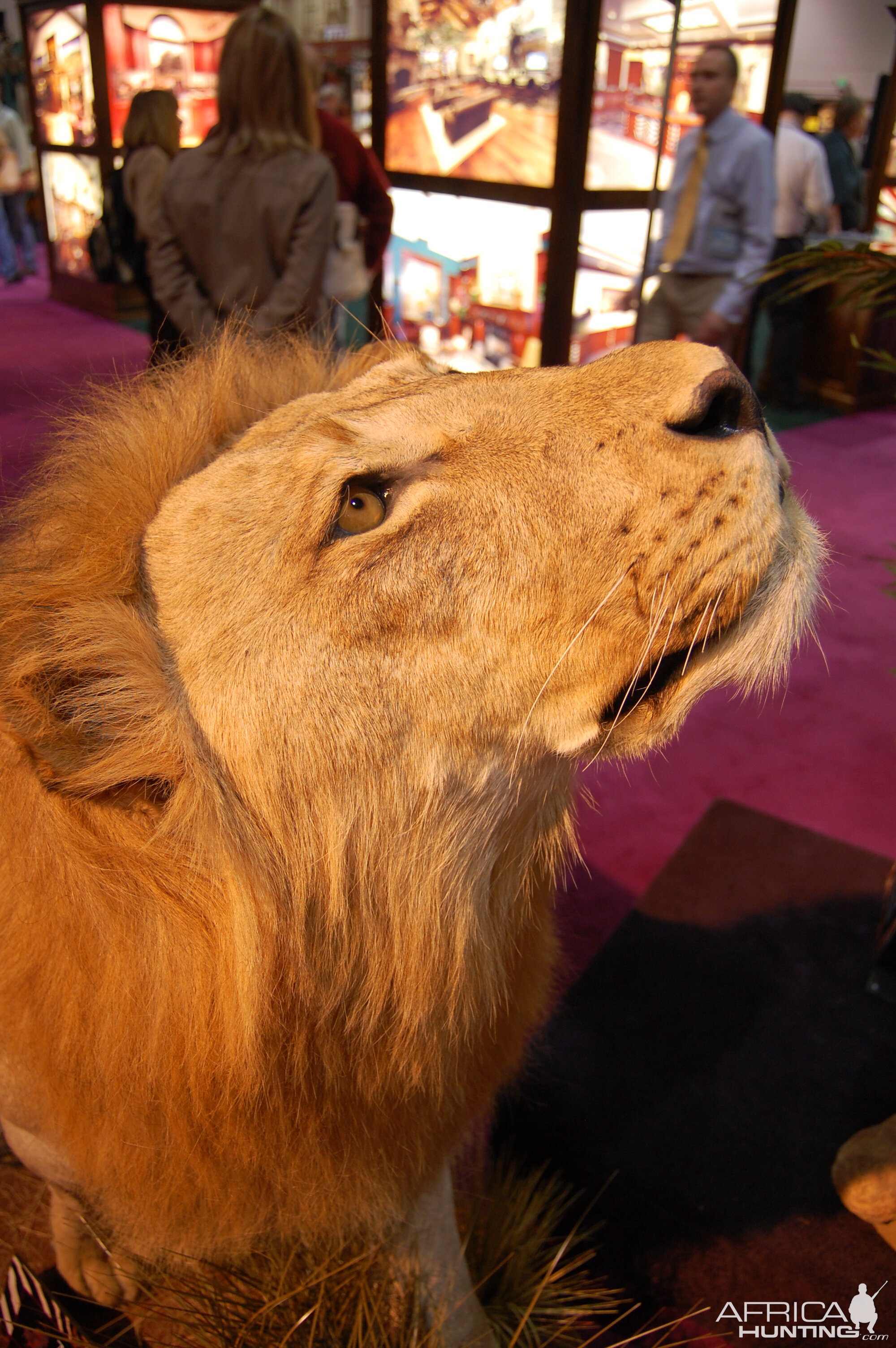 Taxidermy at Safari Club International Convention