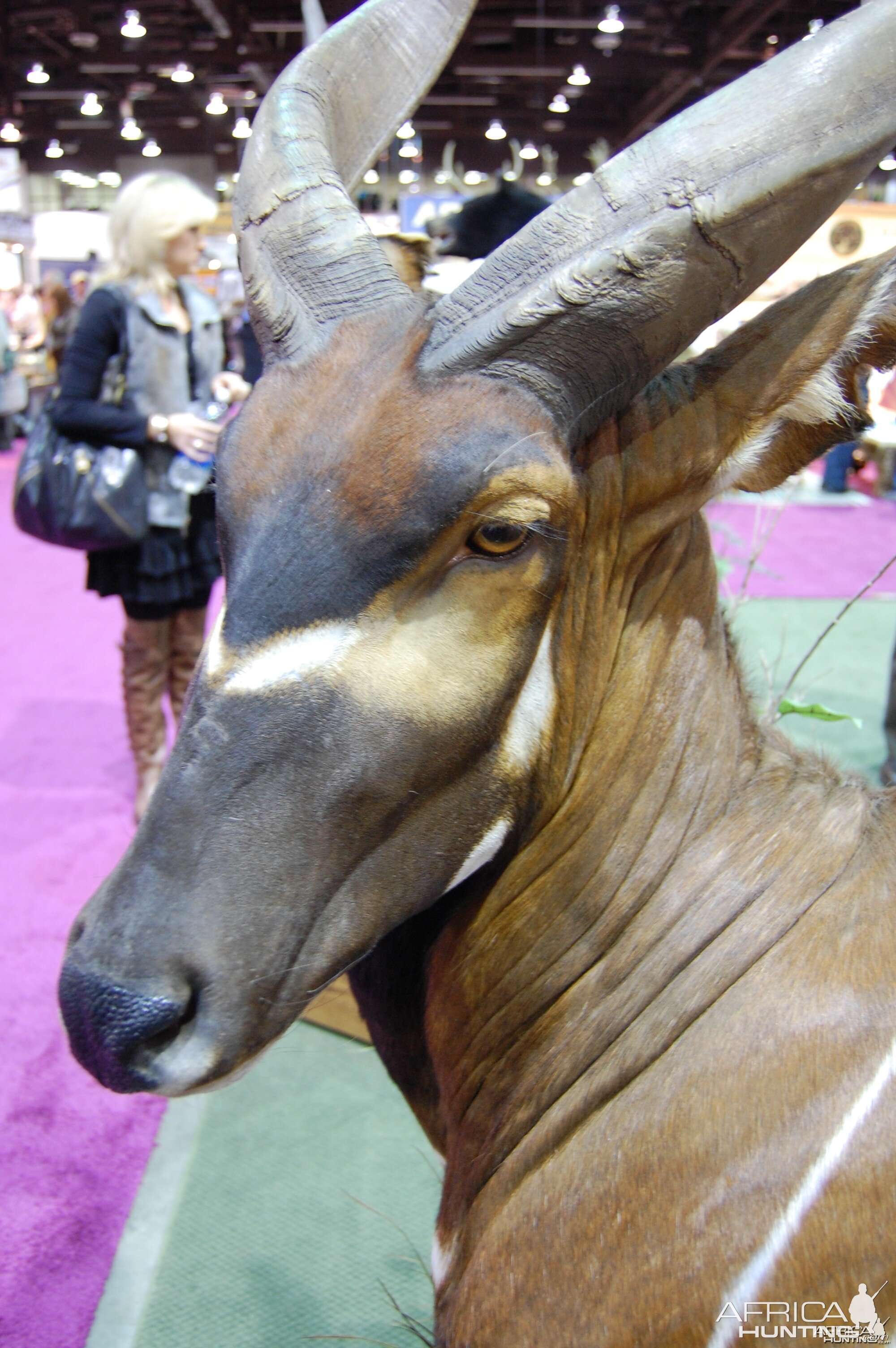 Taxidermy at Safari Club International Convention