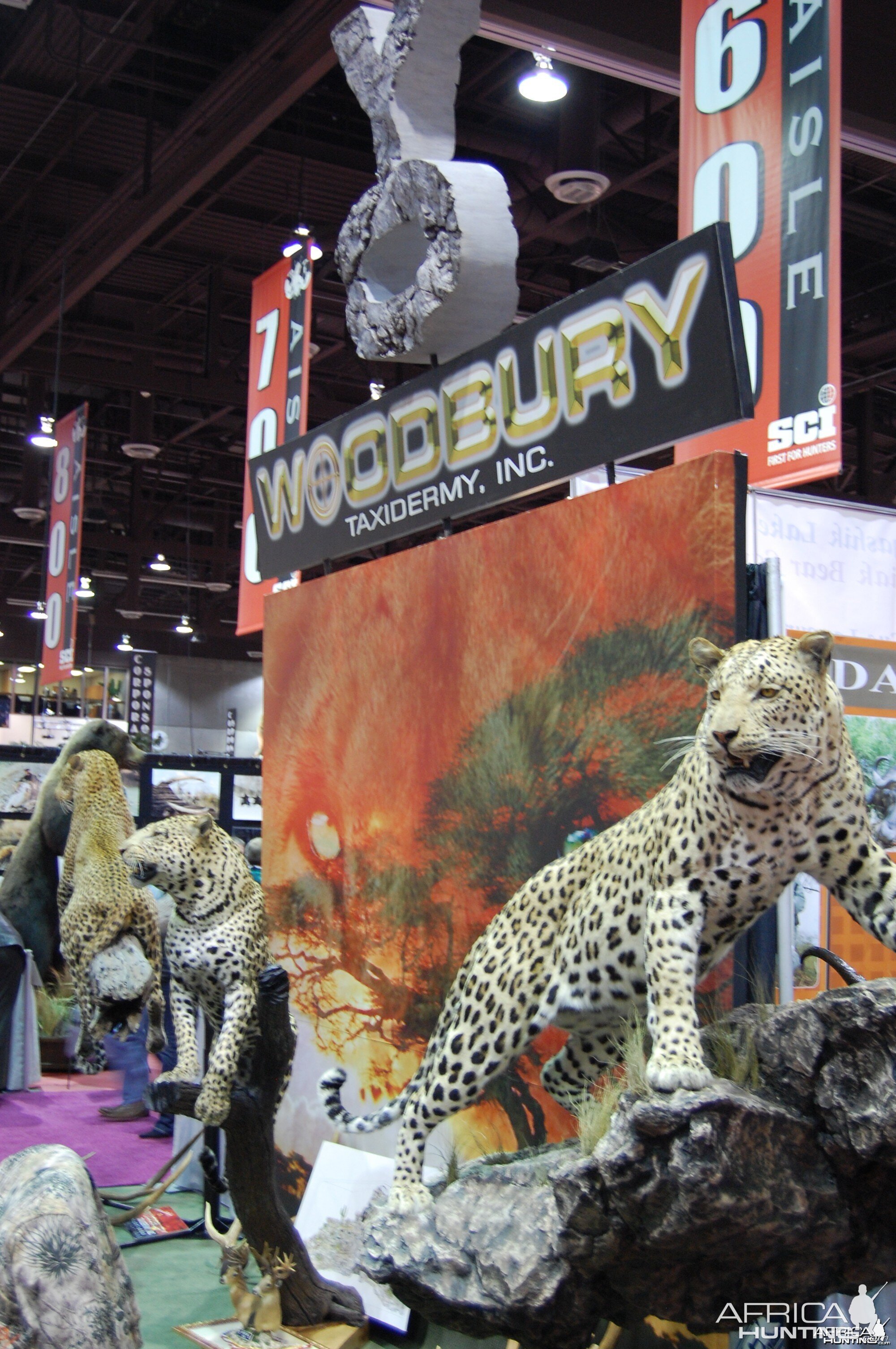 Taxidermy at Safari Club International Convention