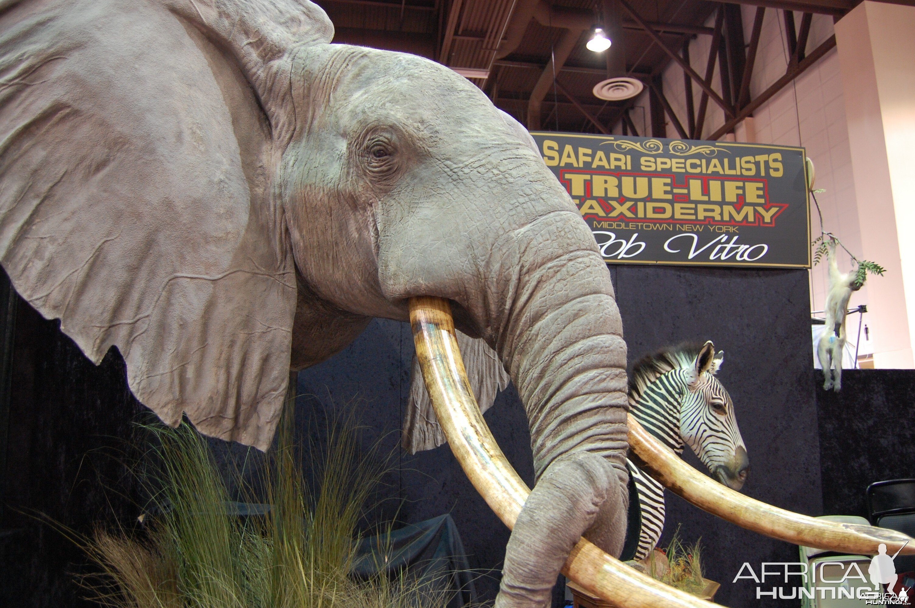 Taxidermy at Safari Club International Convention