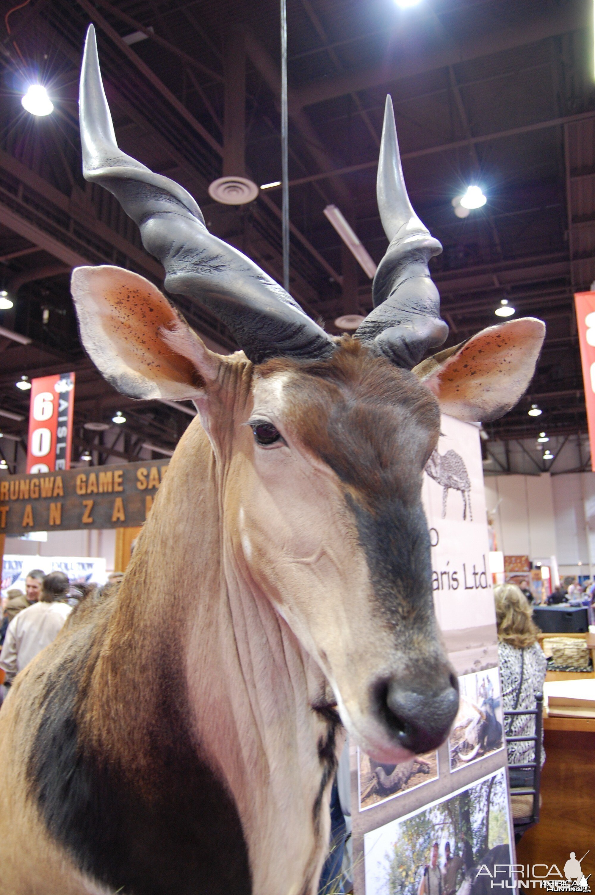 Taxidermy at Safari Club International Convention