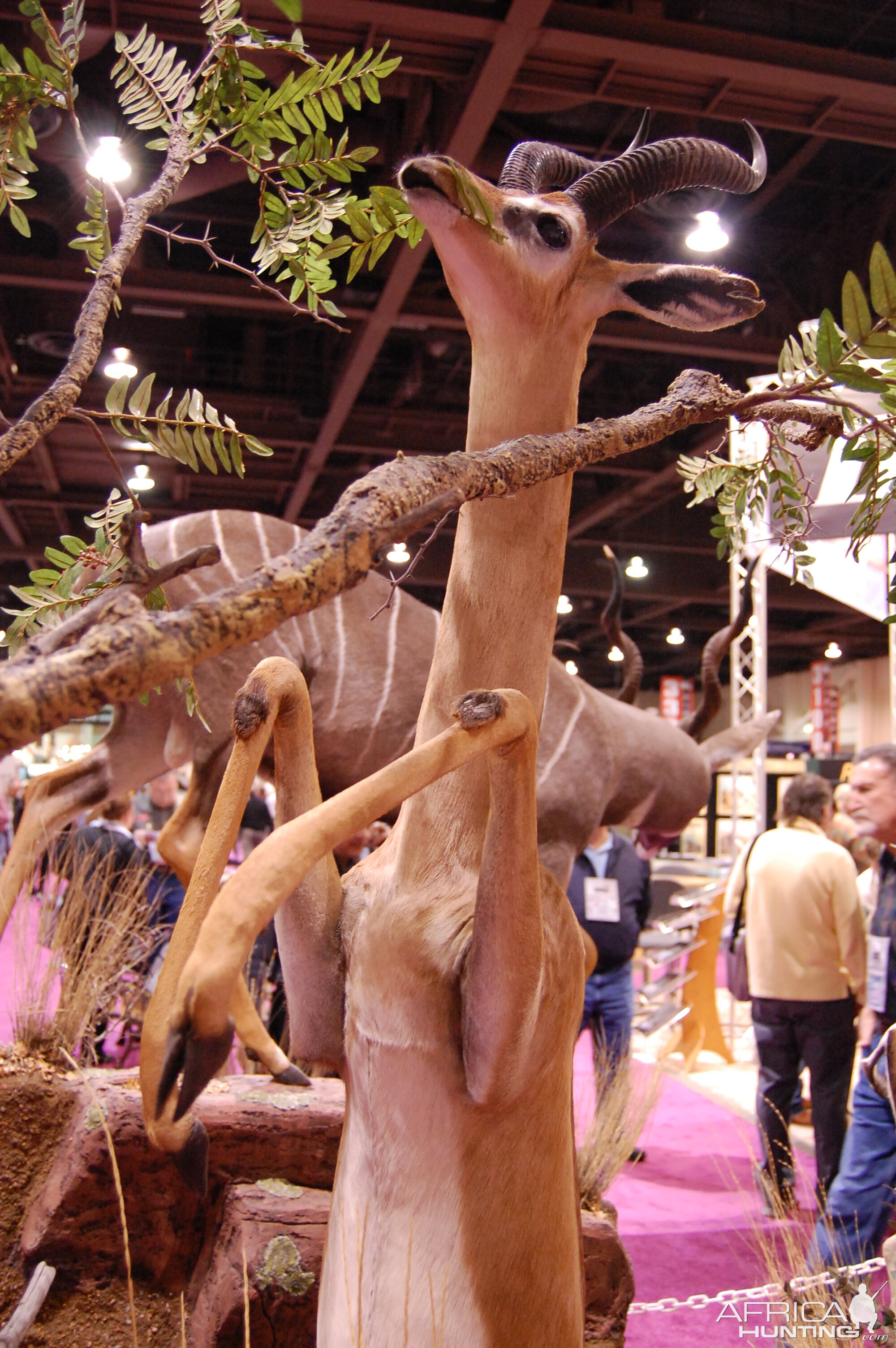 Taxidermy at Safari Club International Convention