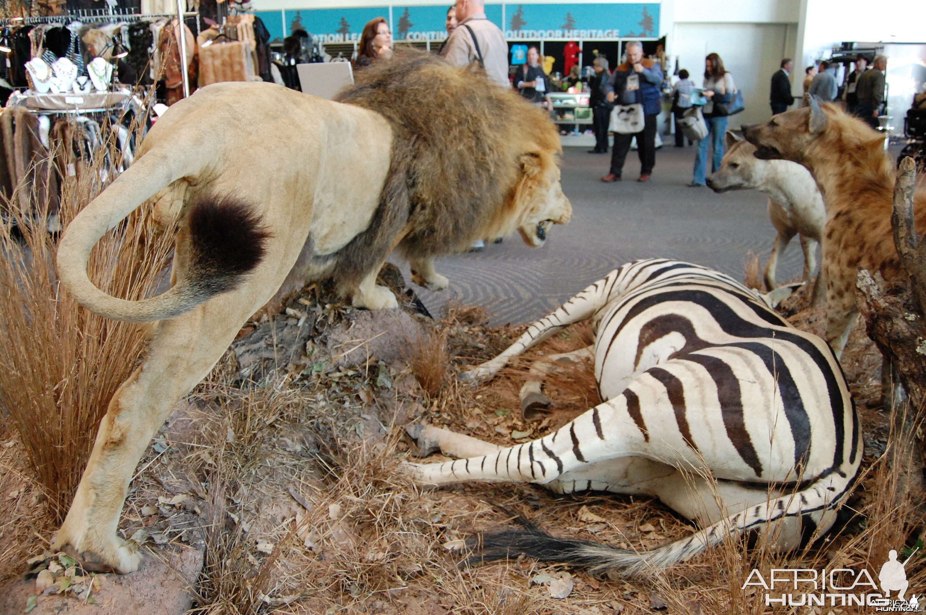 Taxidermy at Safari Club International Convention