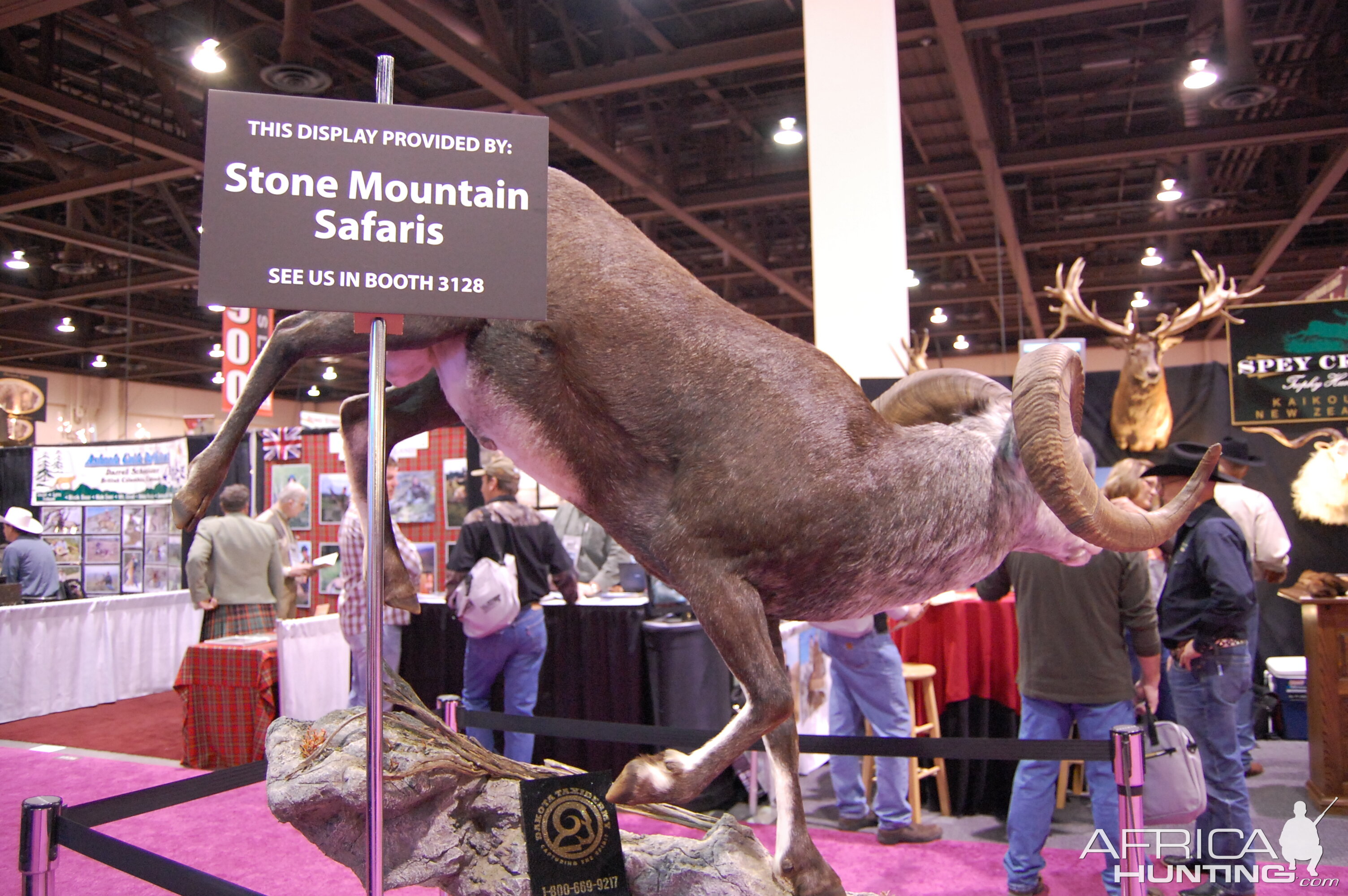 Taxidermy at Safari Club International Convention