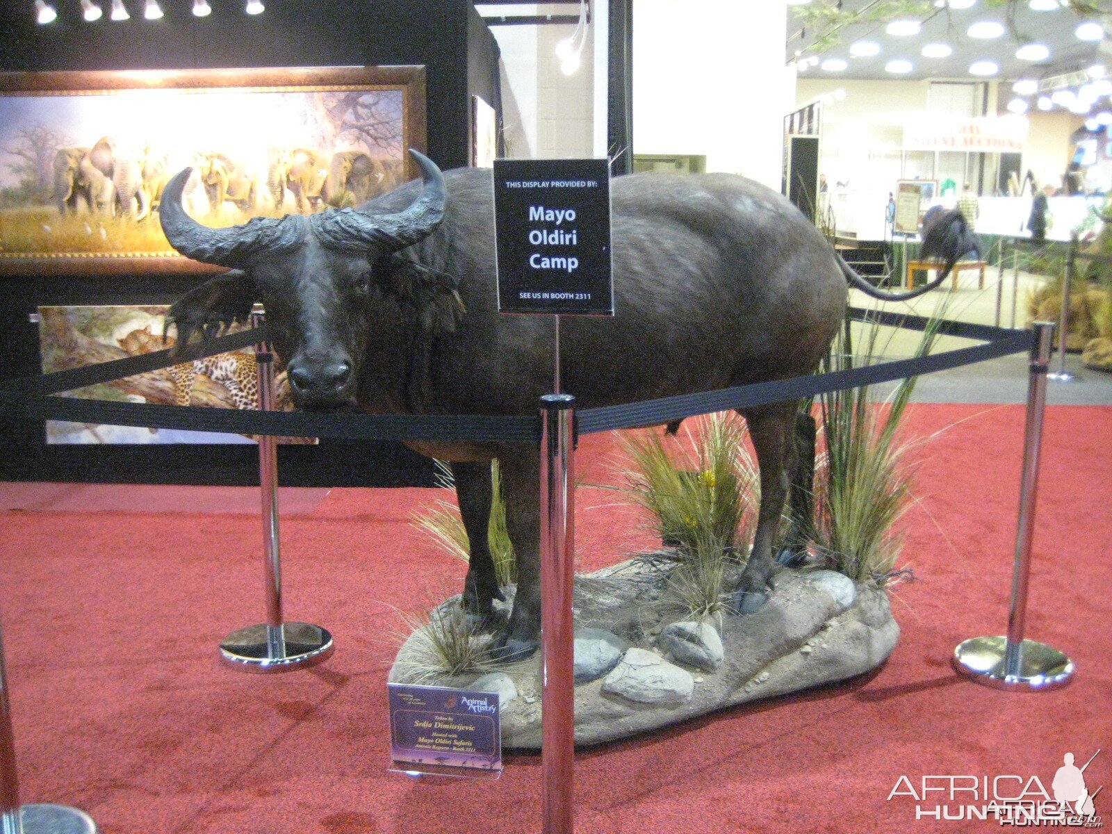 Taxidermy at Safari Club International Convention