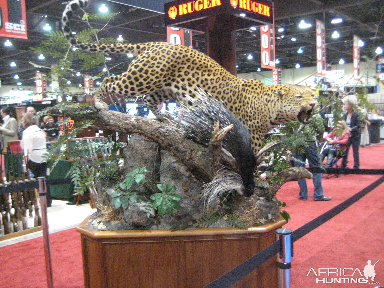 Taxidermy at Safari Club International Convention