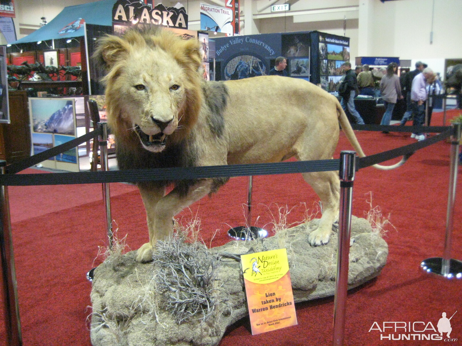 Taxidermy at Safari Club International Convention