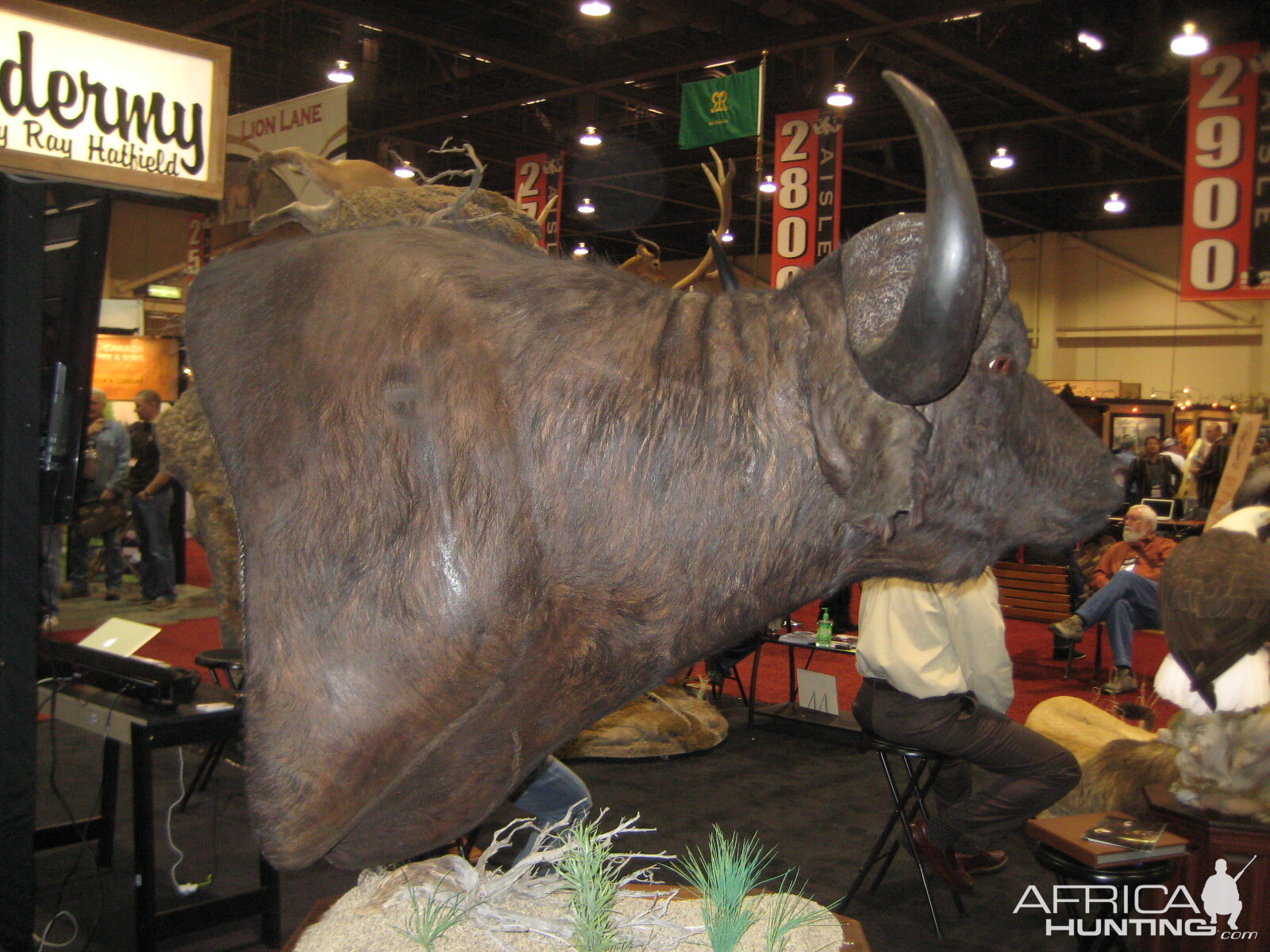 Taxidermy at Safari Club International Convention