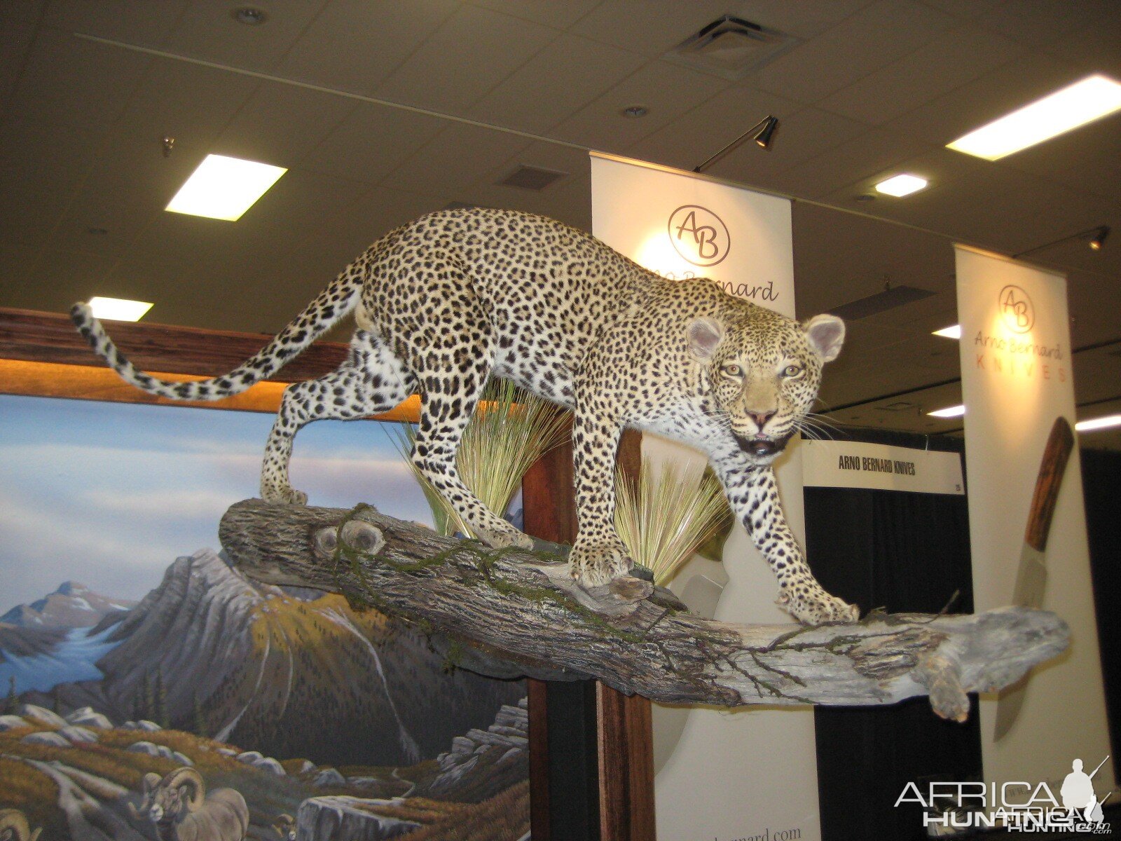 Taxidermy at Safari Club International Convention