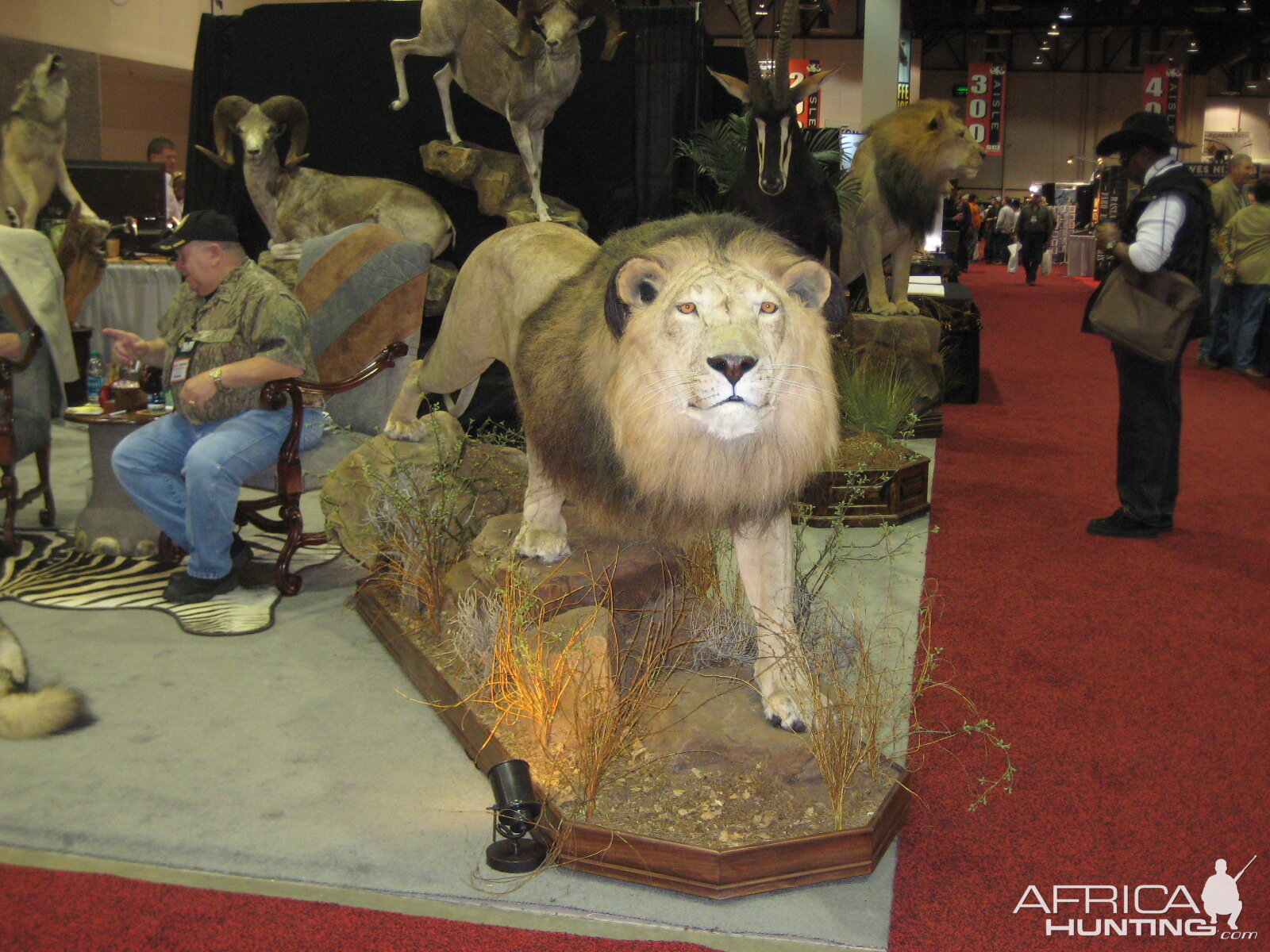 Taxidermy at Safari Club International Convention