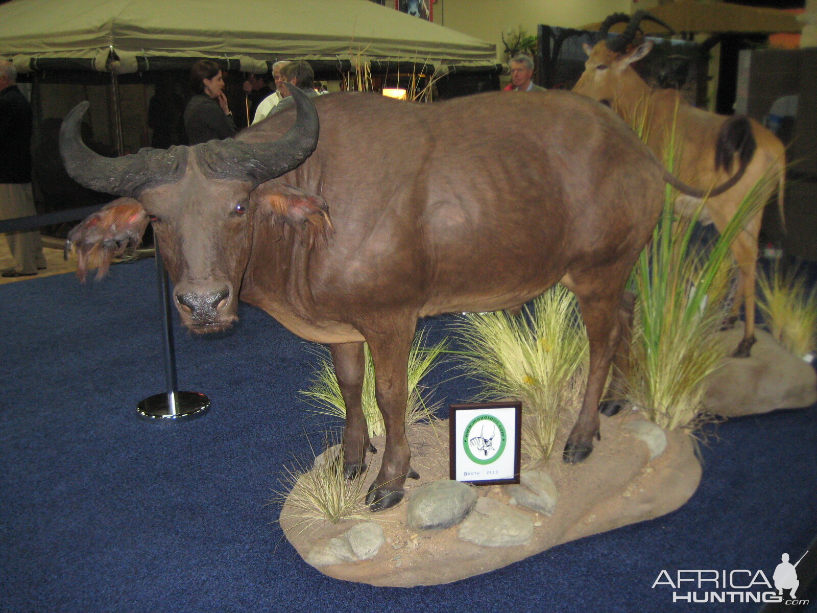 Taxidermy at Safari Club International Convention