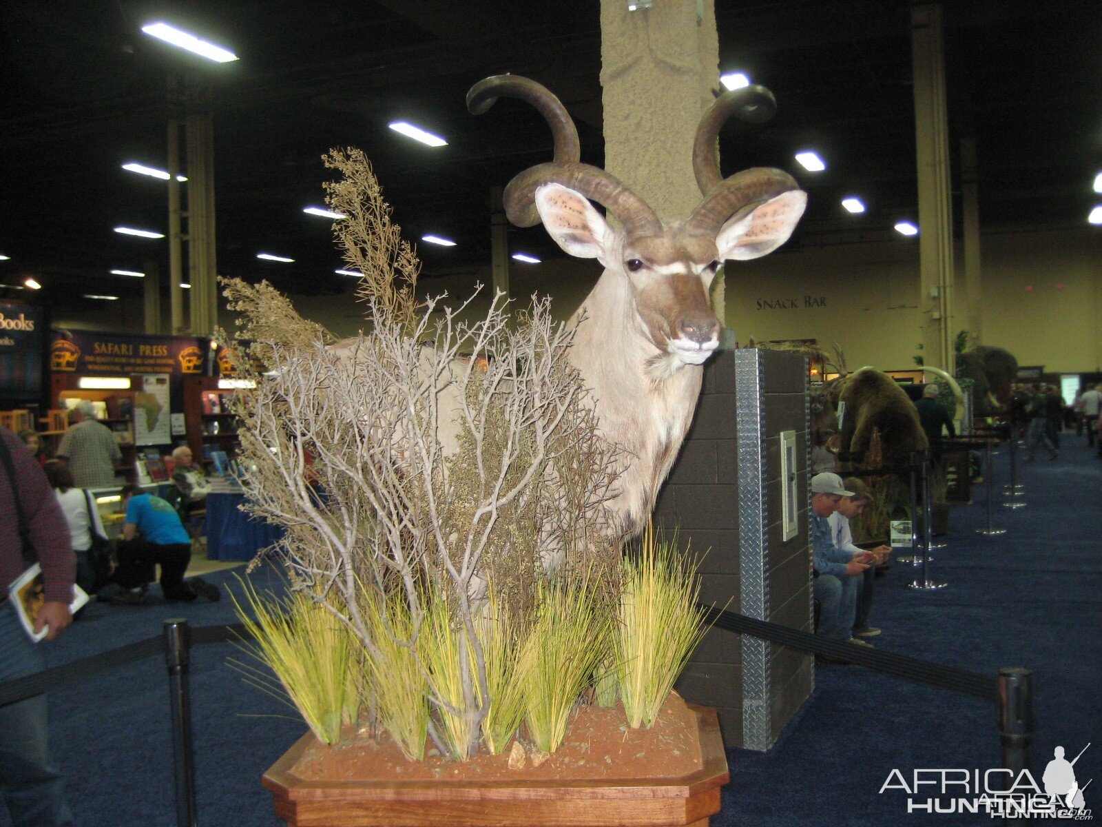 Taxidermy at Safari Club International Convention