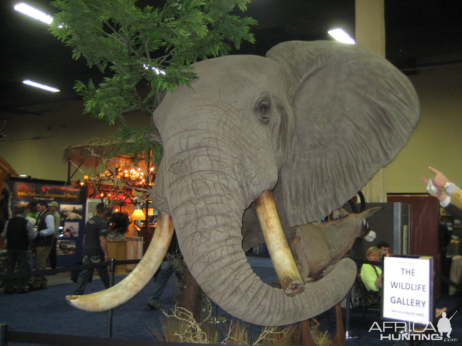 Taxidermy at Safari Club International Convention