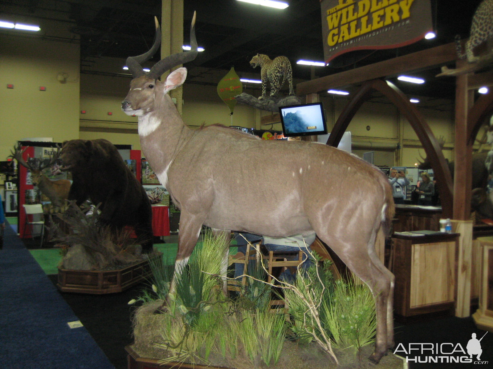 Taxidermy at Safari Club International Convention