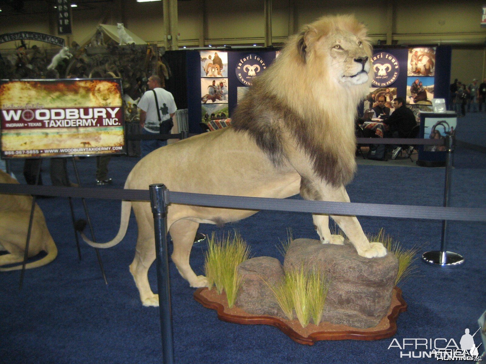 Taxidermy at Safari Club International Convention