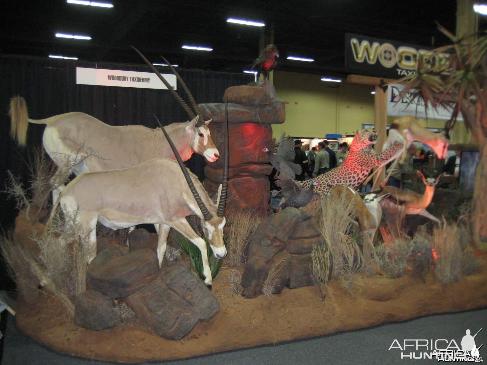 Taxidermy at Safari Club International Convention