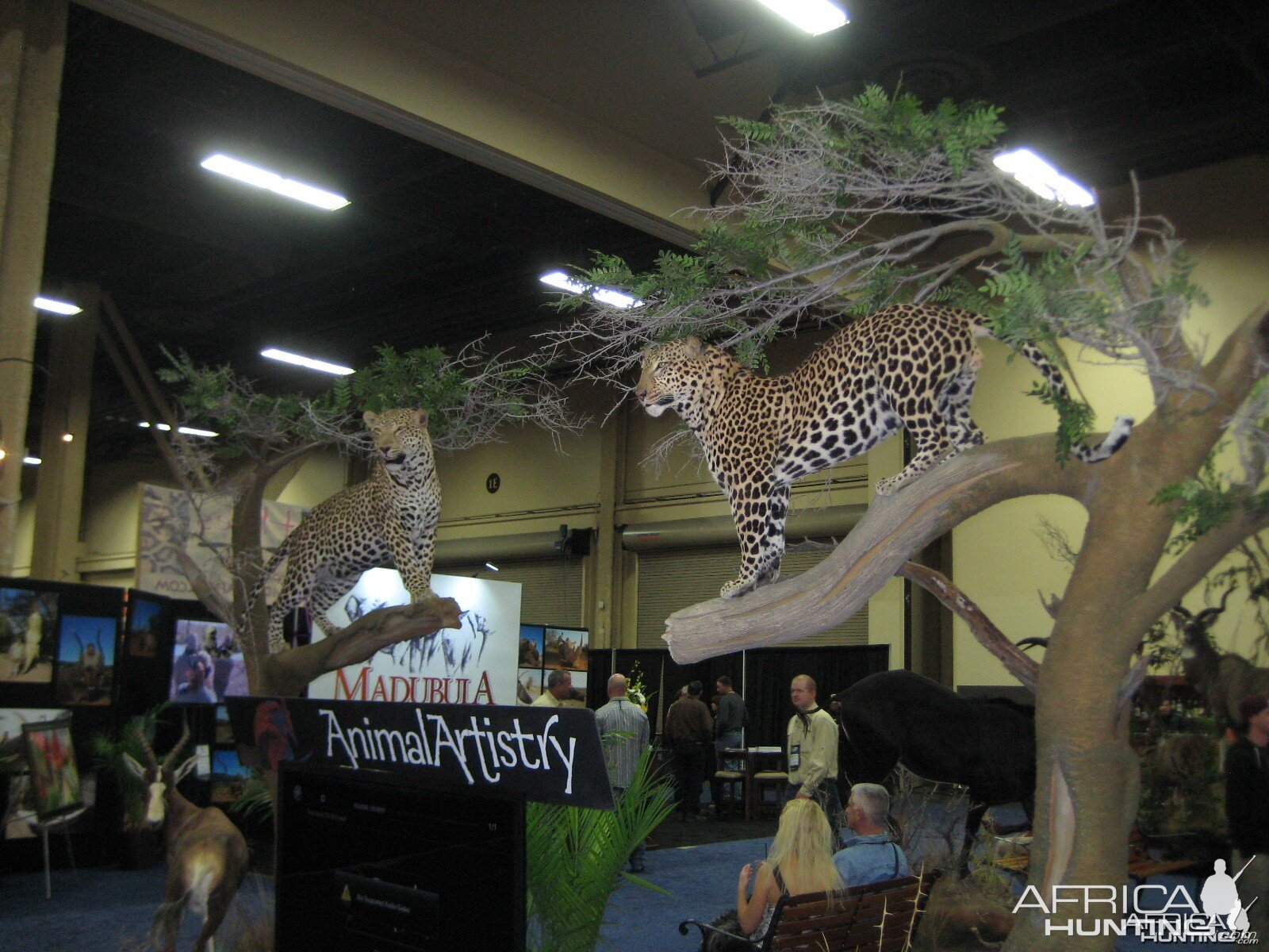 Taxidermy at Safari Club International Convention