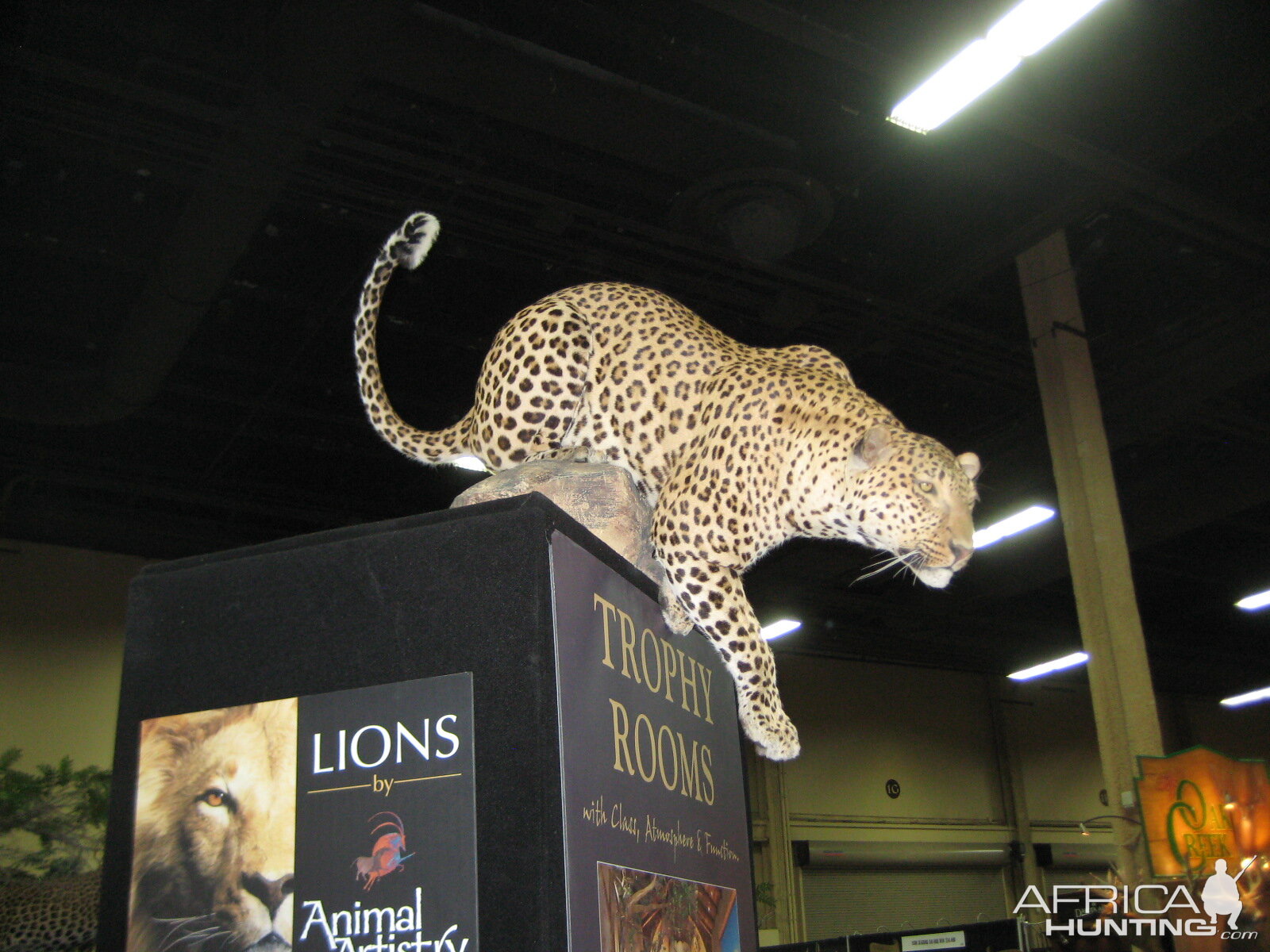 Taxidermy at Safari Club International Convention