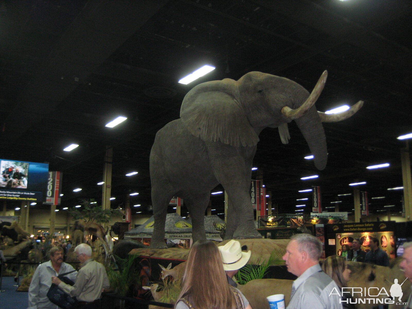 Taxidermy at Safari Club International Convention