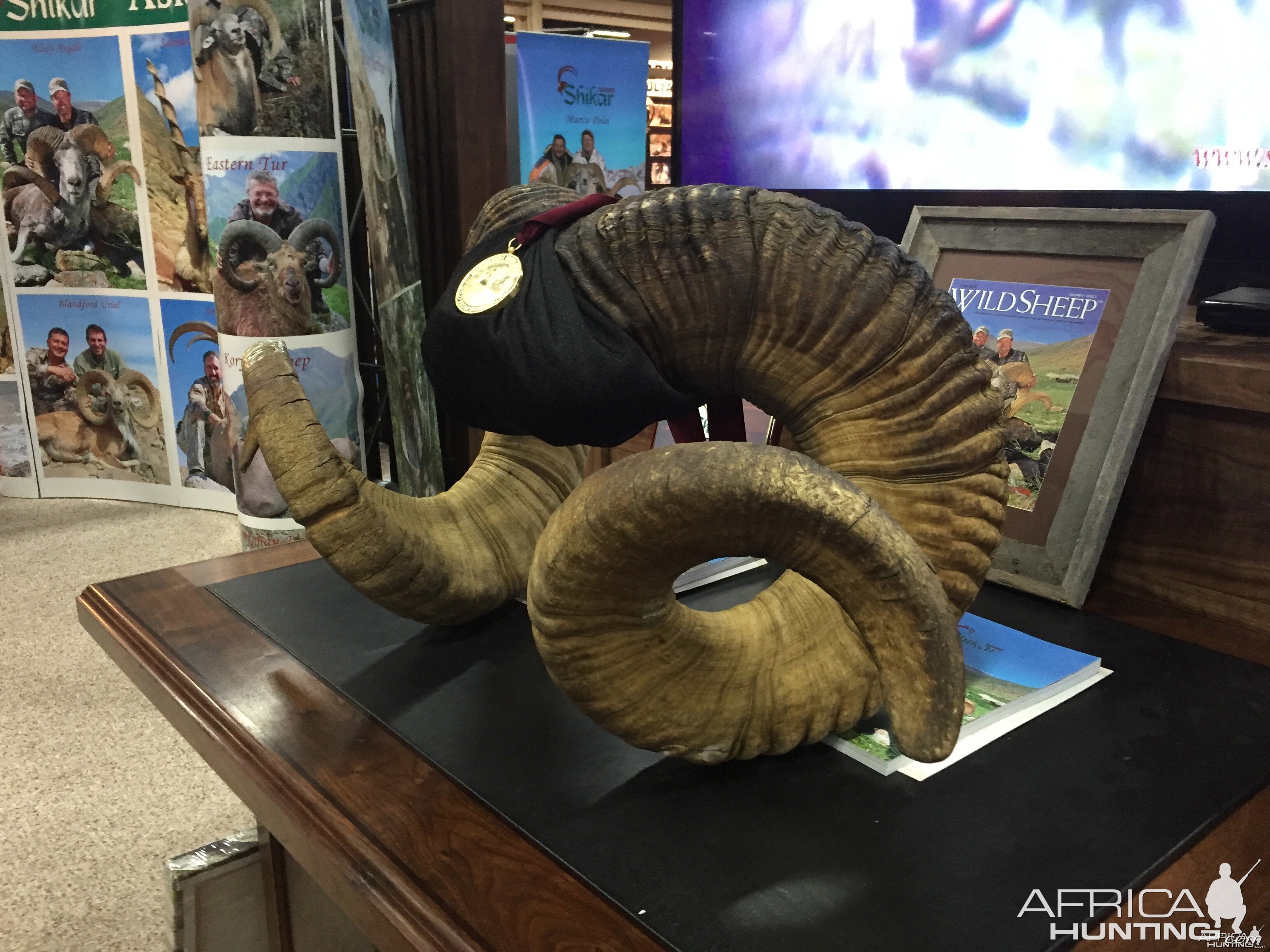 Taxidermy at Safari Club International Convention