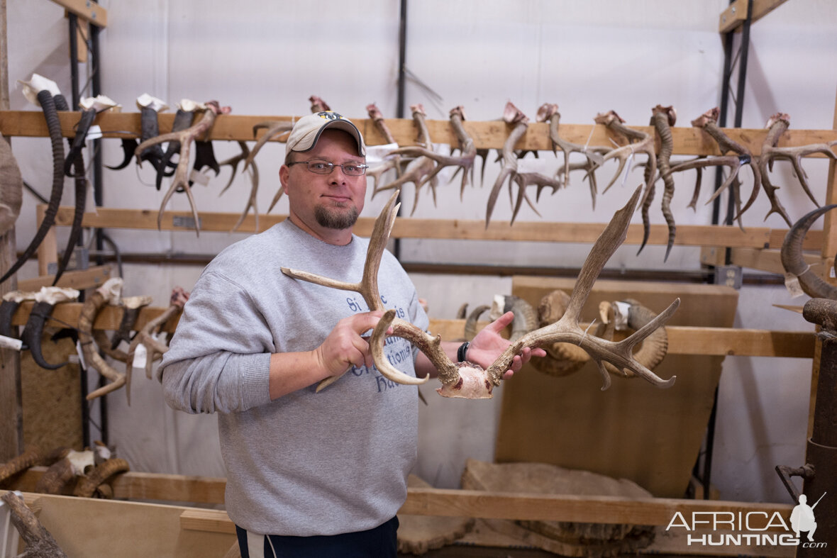 Taxidermy Workshop | AfricaHunting.com