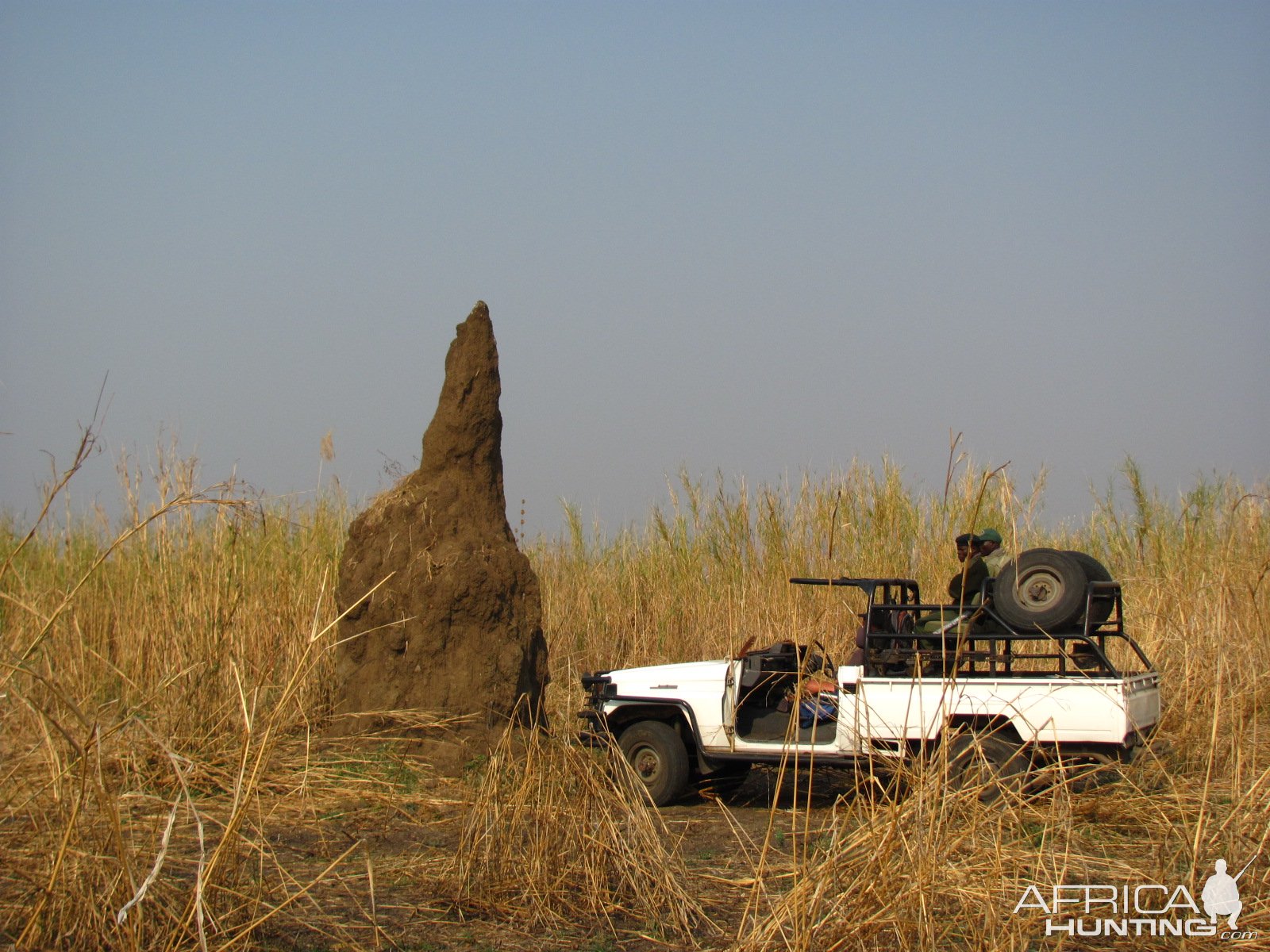 Termite Mount Zambia