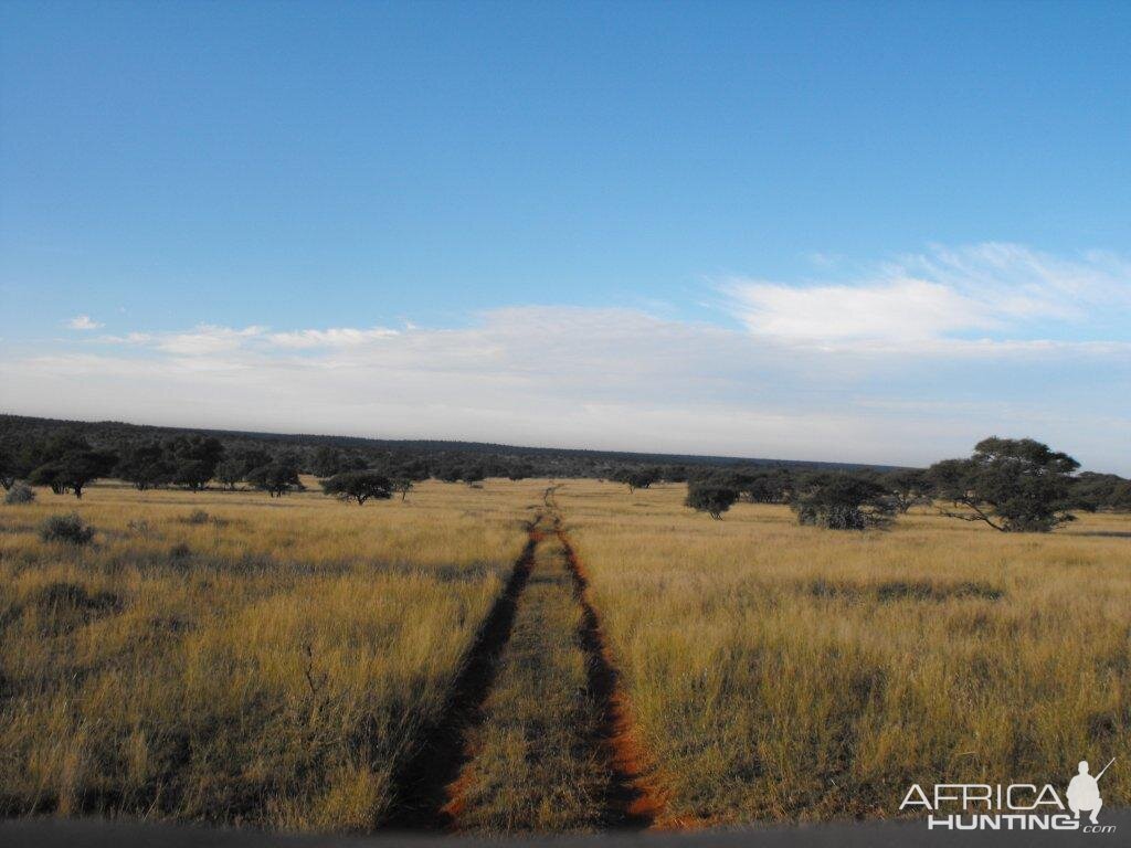 Terrain and sightings Hartzview Hunting Safaris