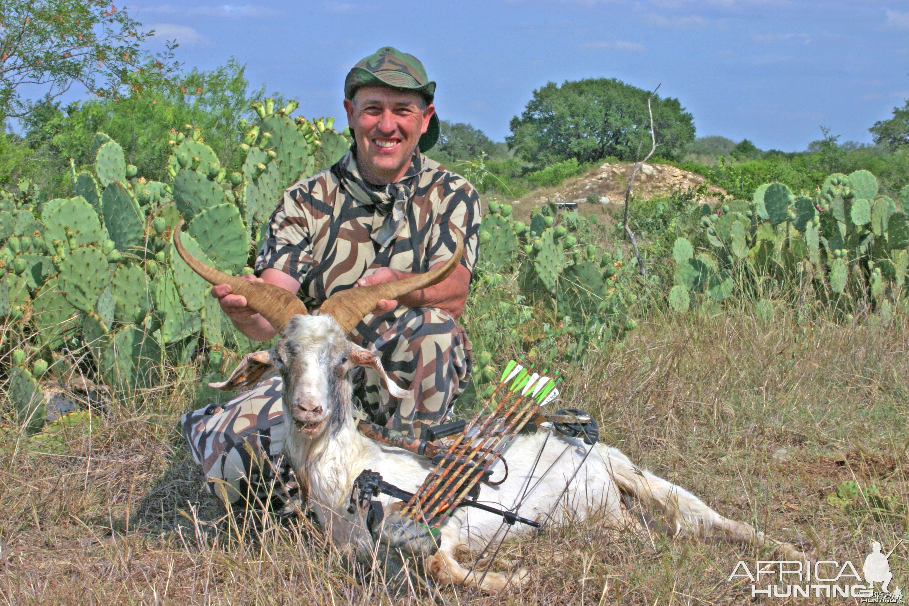 Texas Feral Goat