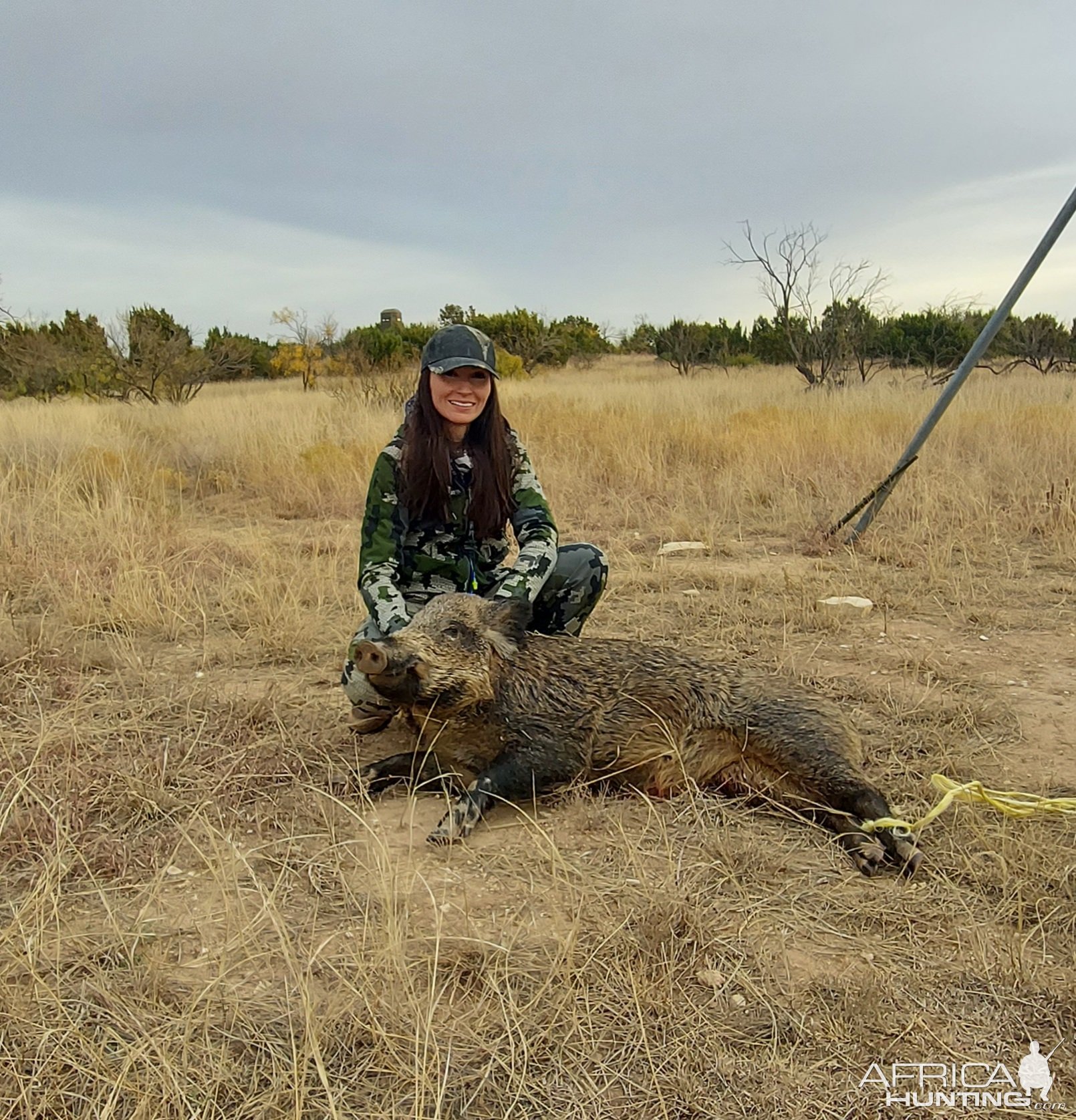 Texas Hog Hunting | AfricaHunting.com