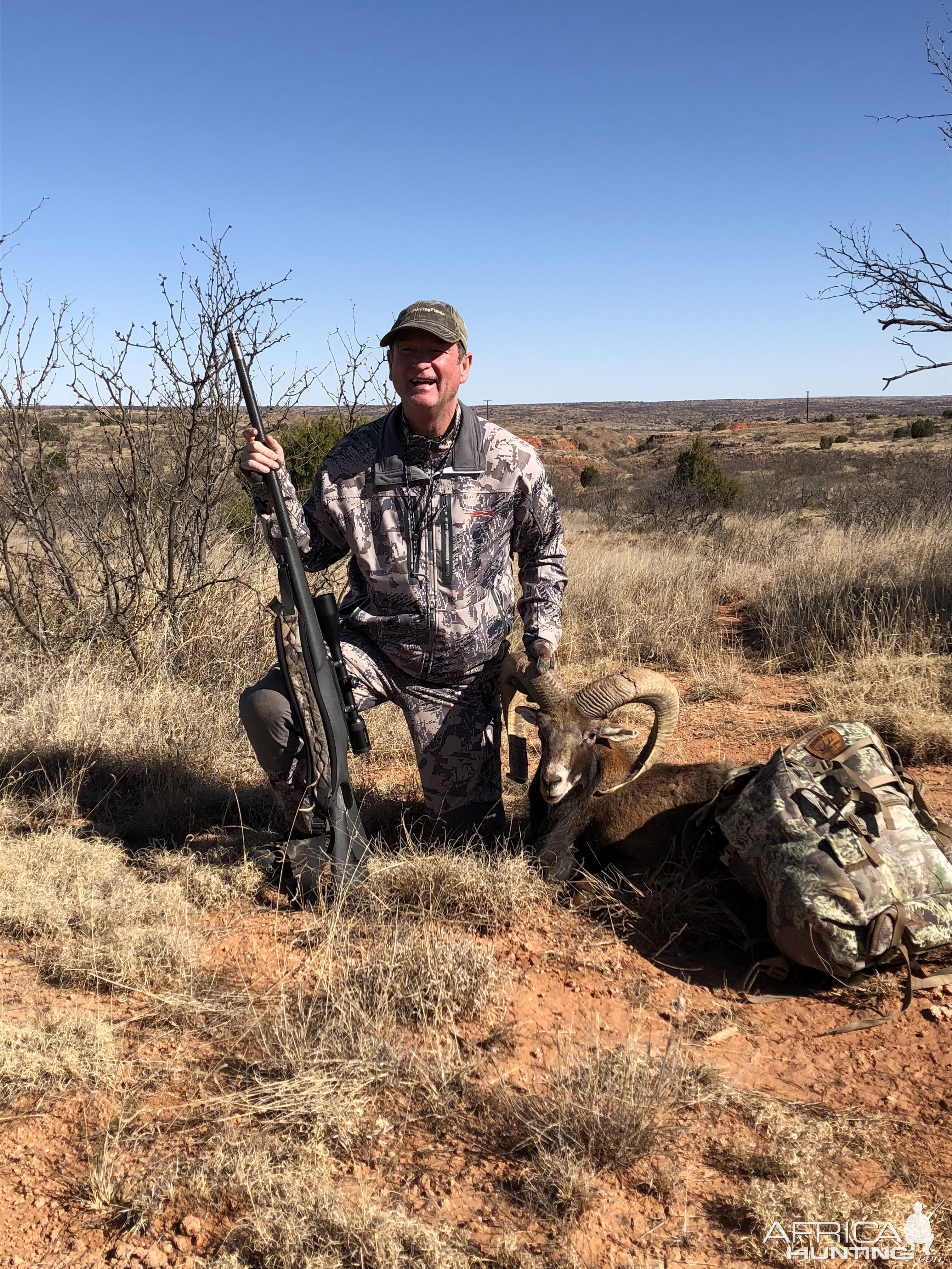 Texas Hunting Mouflon