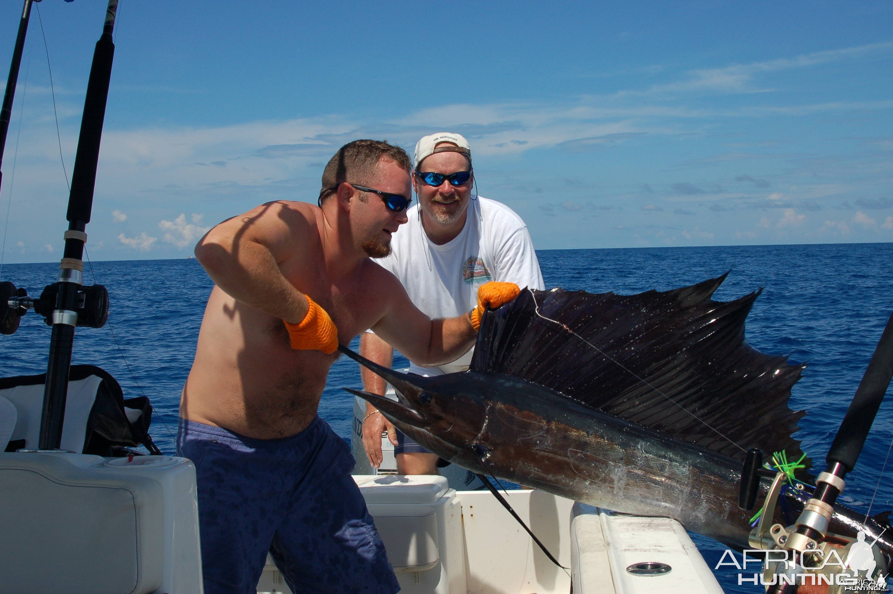 Texas Sailfish