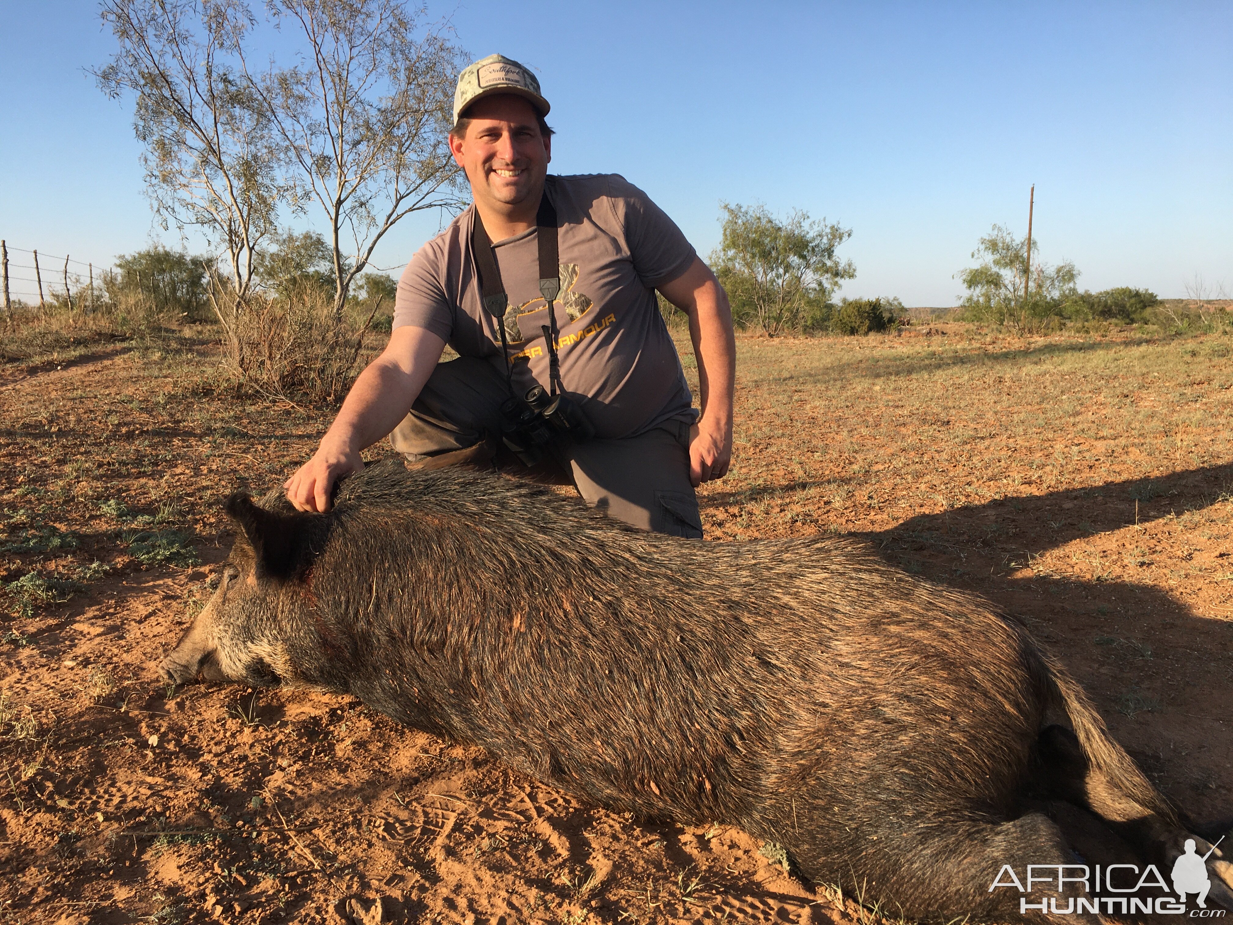 Texas USA Hunt Pig