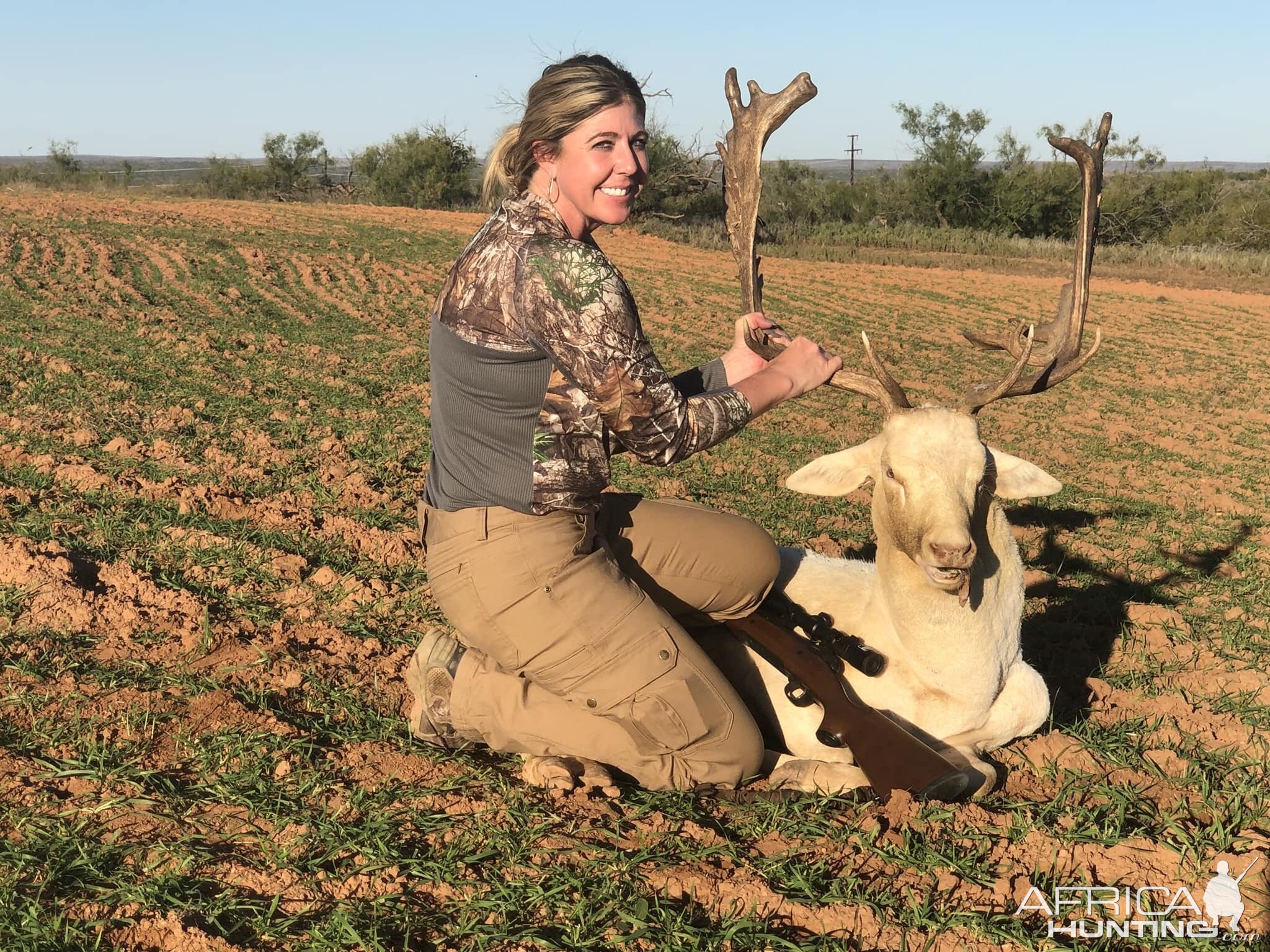 Texas USA Hunt White Fallow Deer