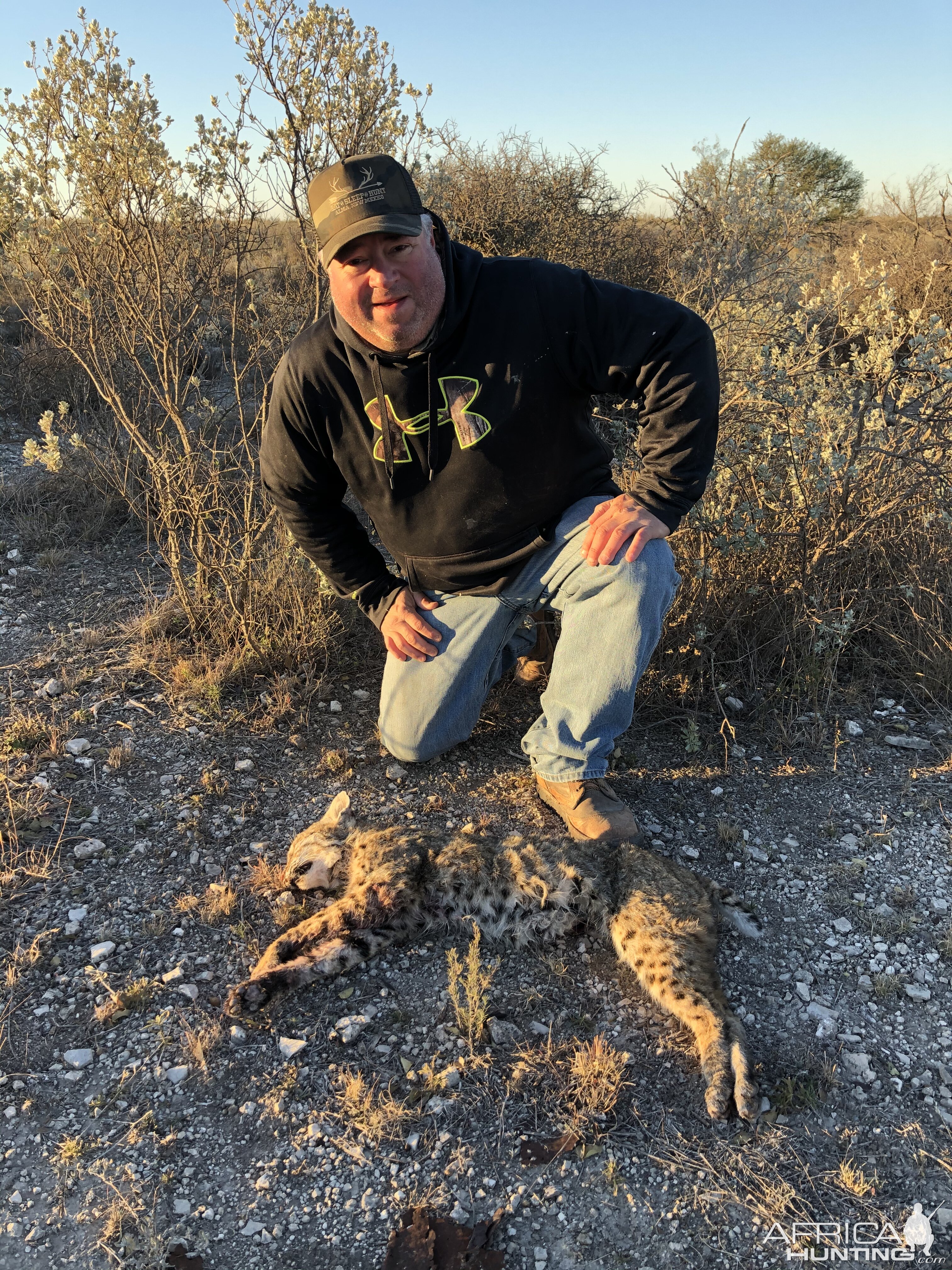 Texas USA Hunting Bobcat