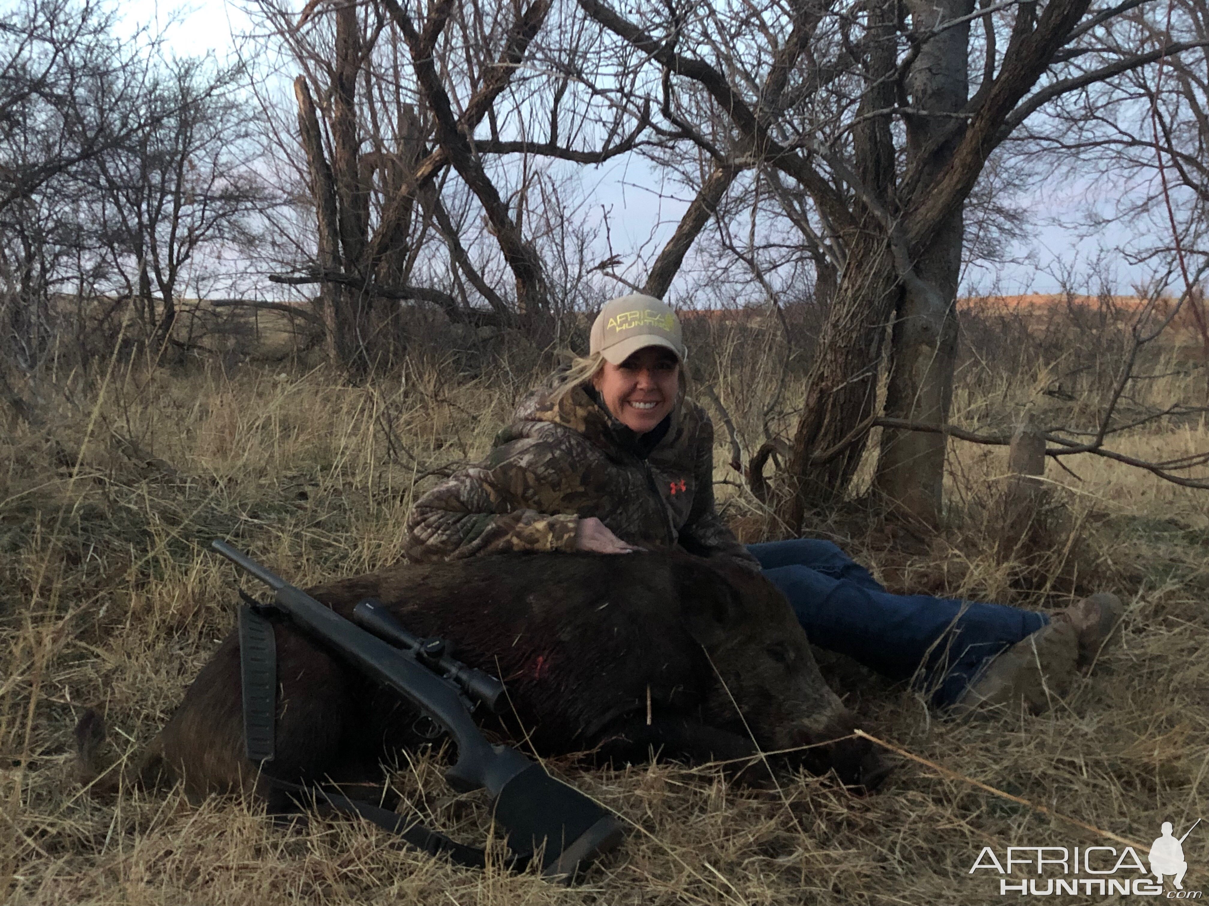 Texas USA Hunting Feral Pig