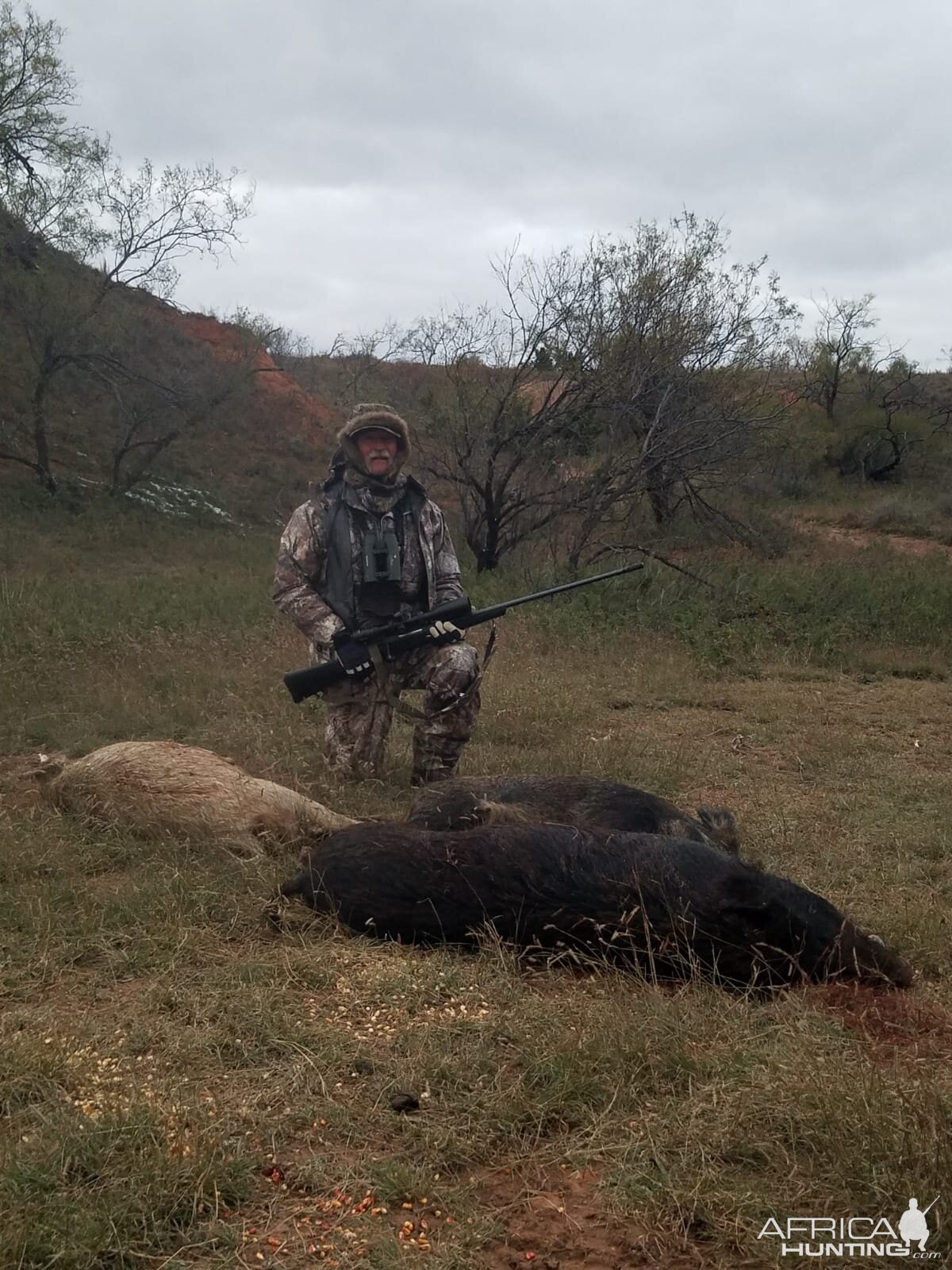 Texas USA Hunting Hog