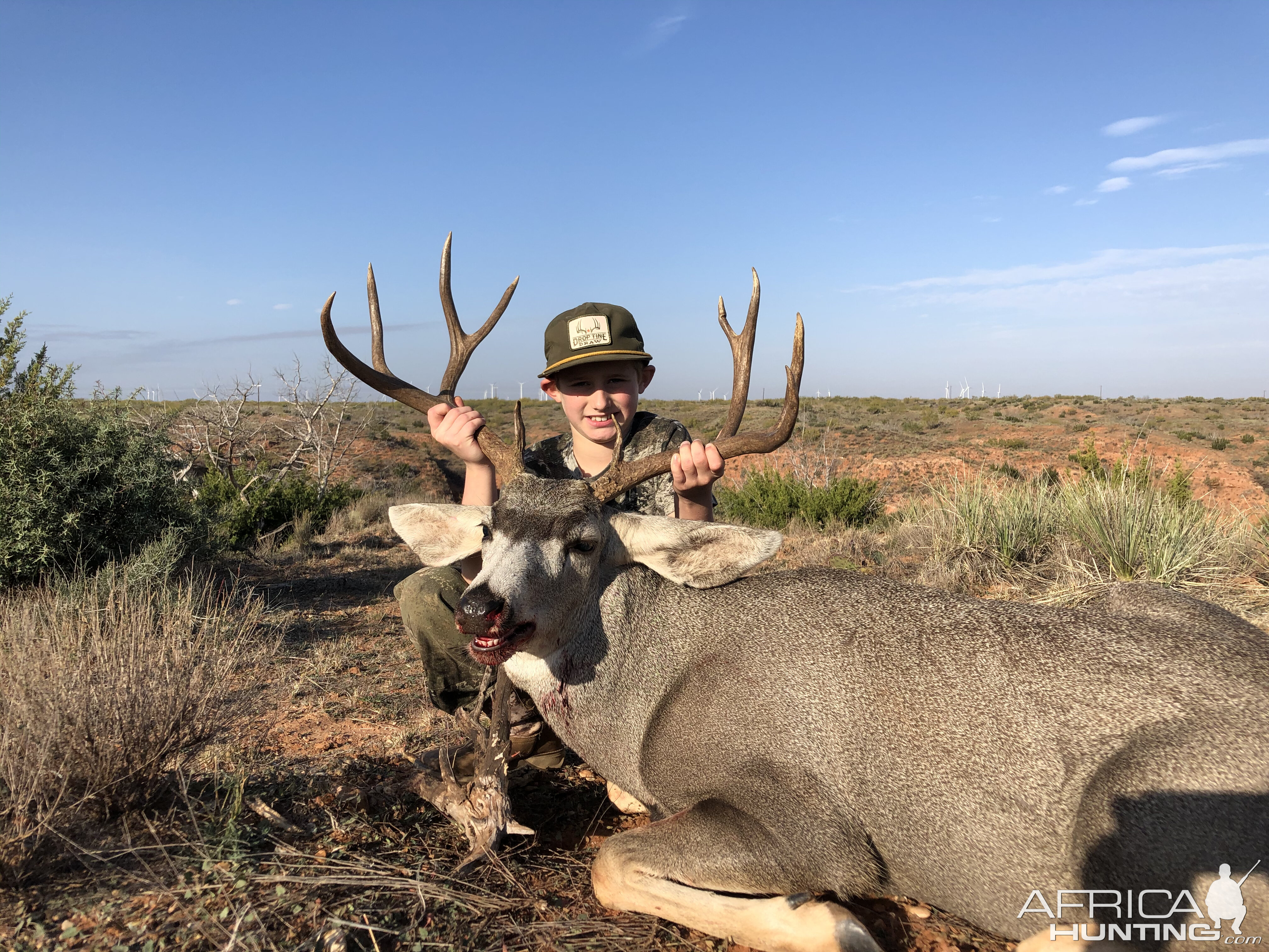 Texas USA Hunting Mule Deer