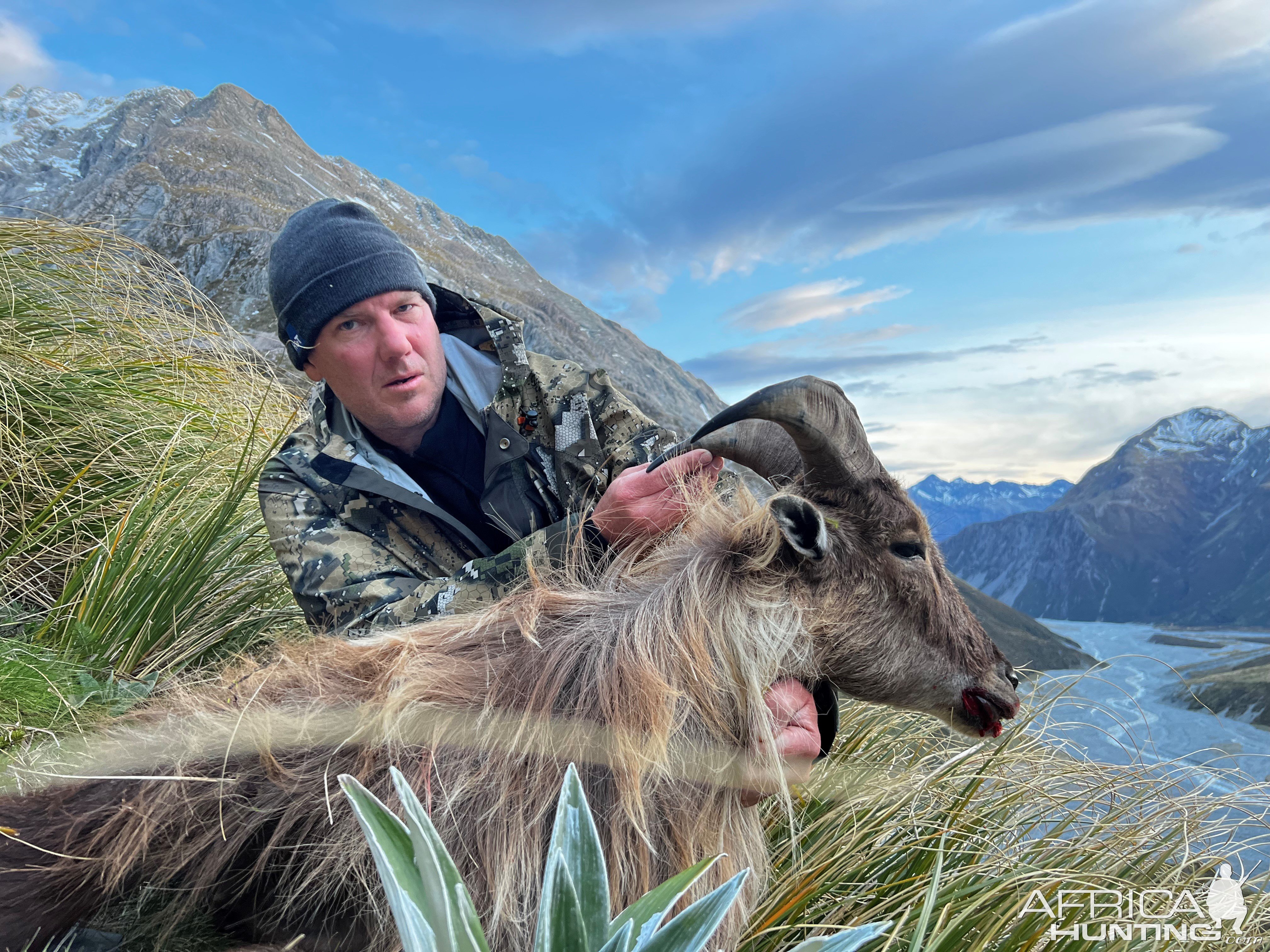 Thar Hunt New Zealand