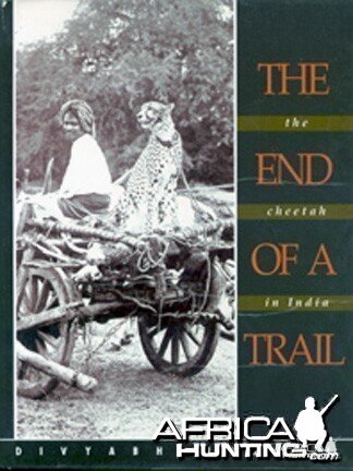 The End of Trail: The Cheetah in India (hard book)